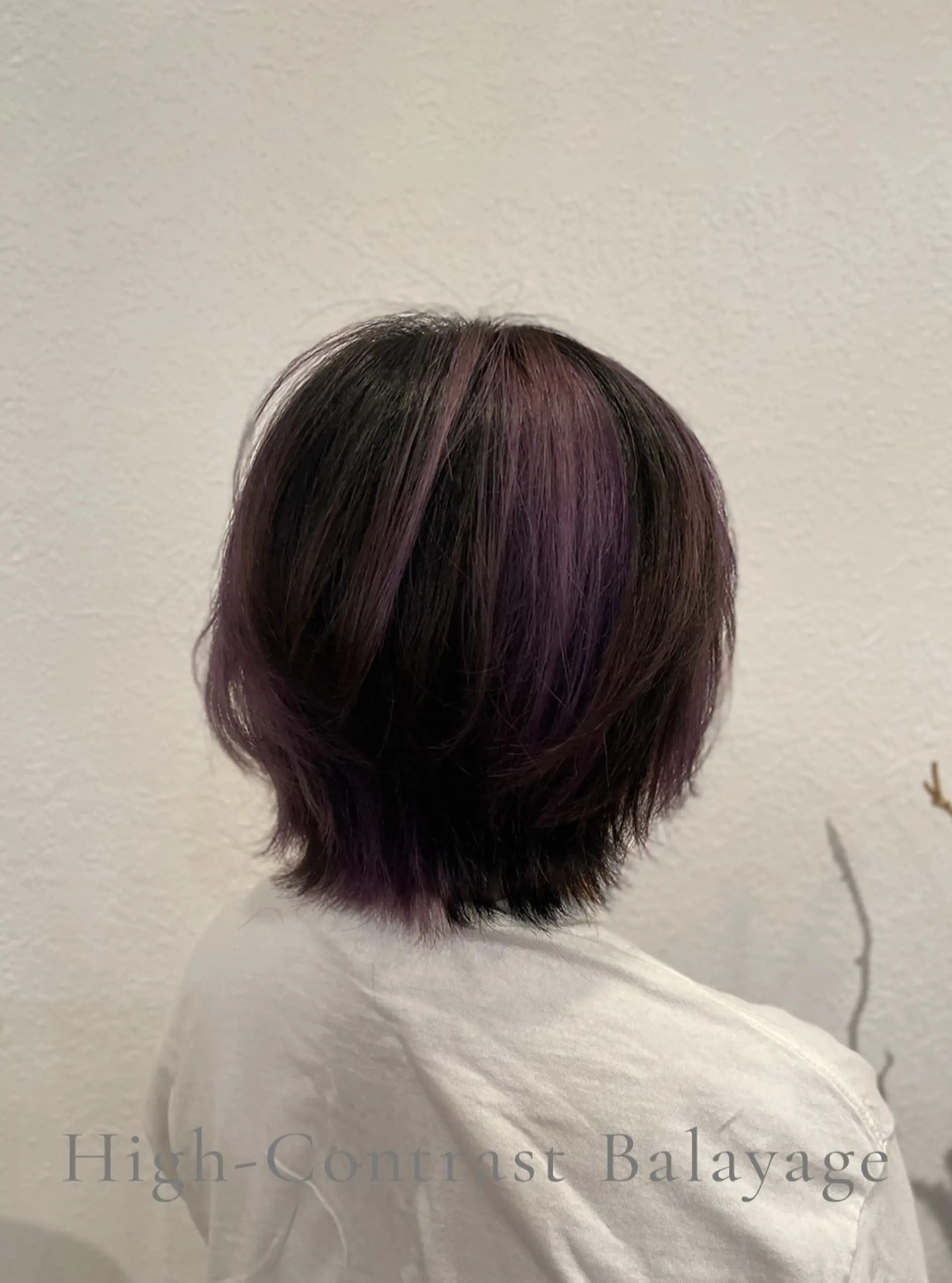 A short, layered wolf cut accented with high-contrast violet balayage over a deep brunette base. 1