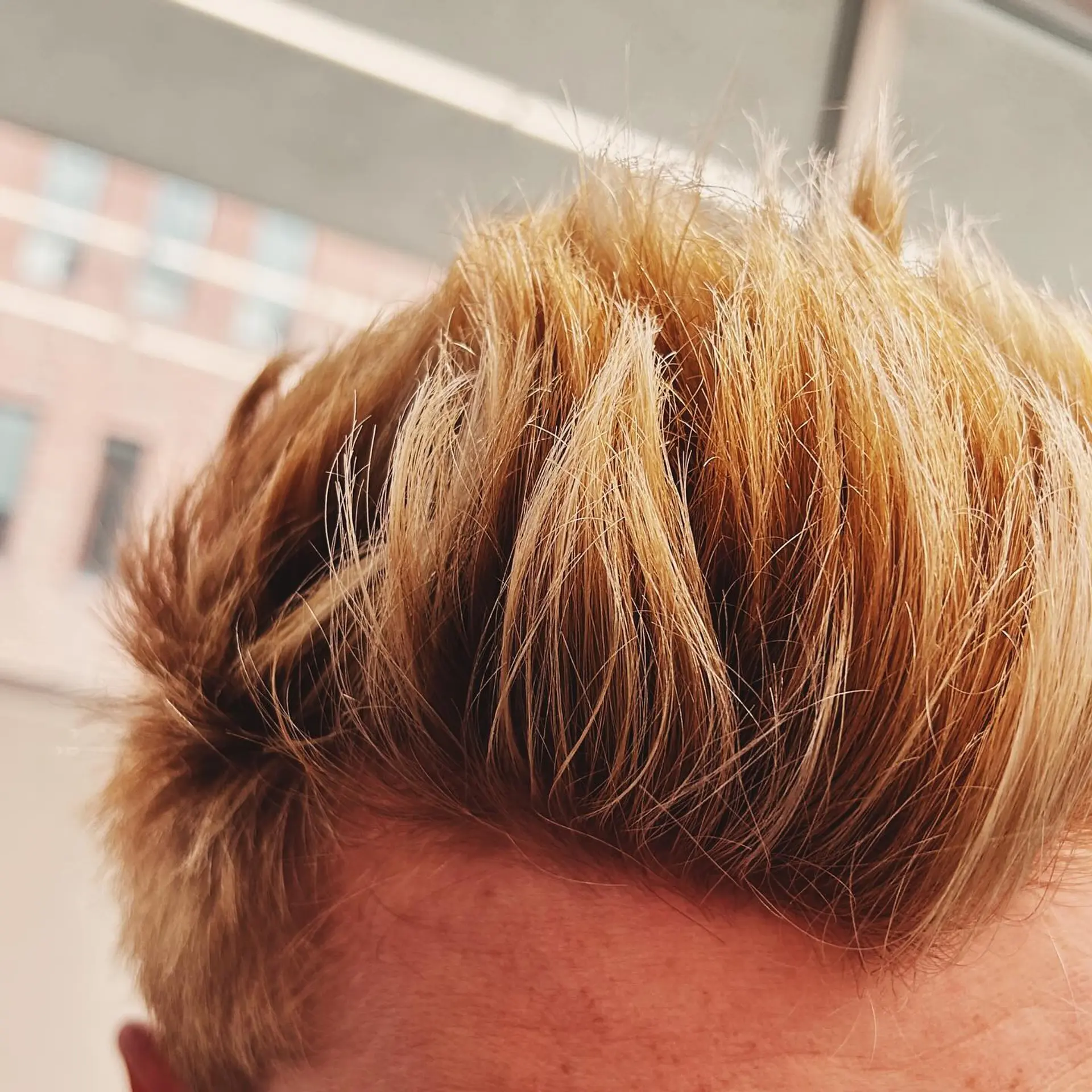 A close-up view of a short, piecey haircut with warm golden blonde highlights styled upward. 1
