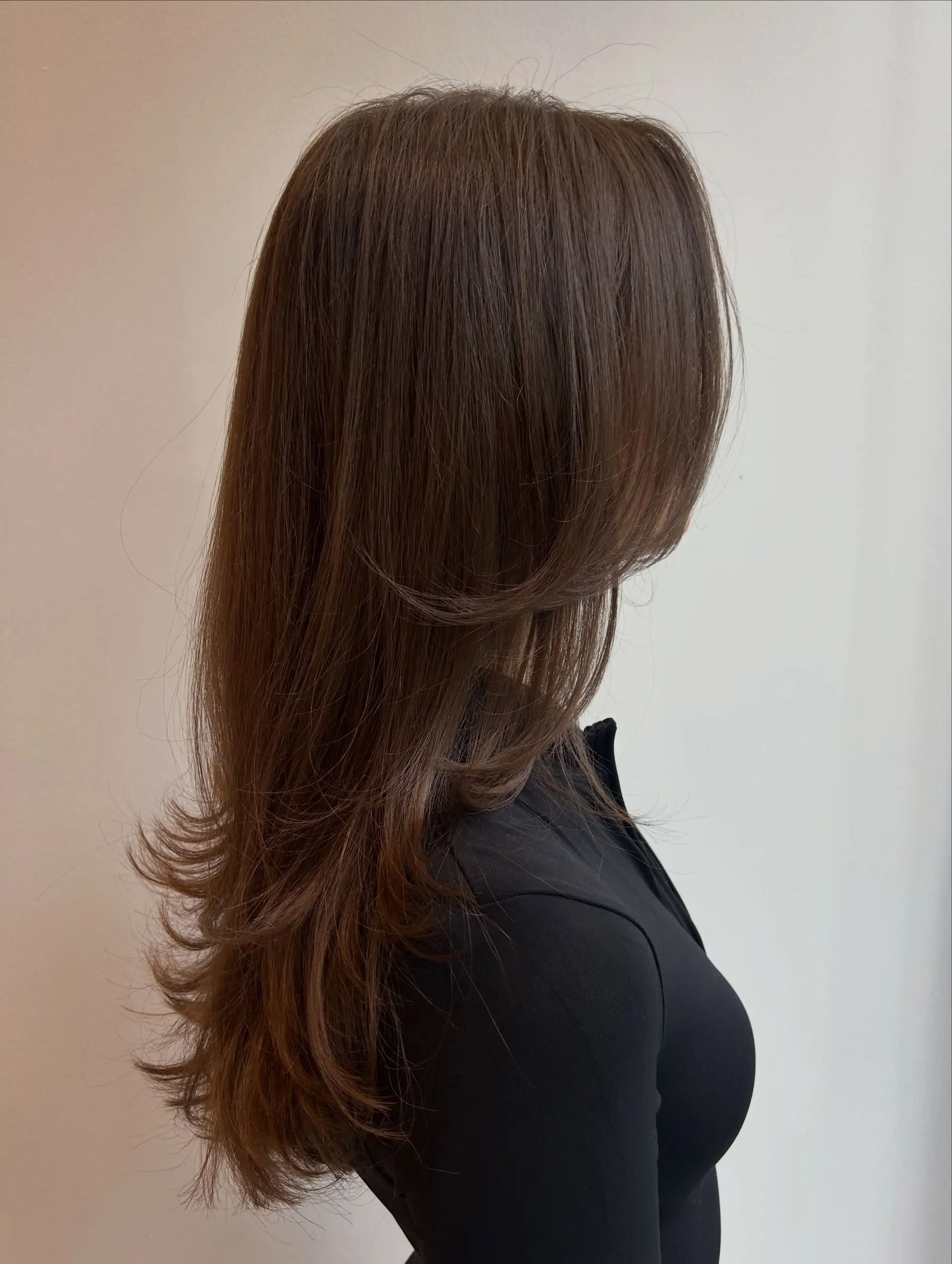 A sleek, long layered haircut with soft face-framing layers and softly flipped ends, styled with a high-shine blowout. 1