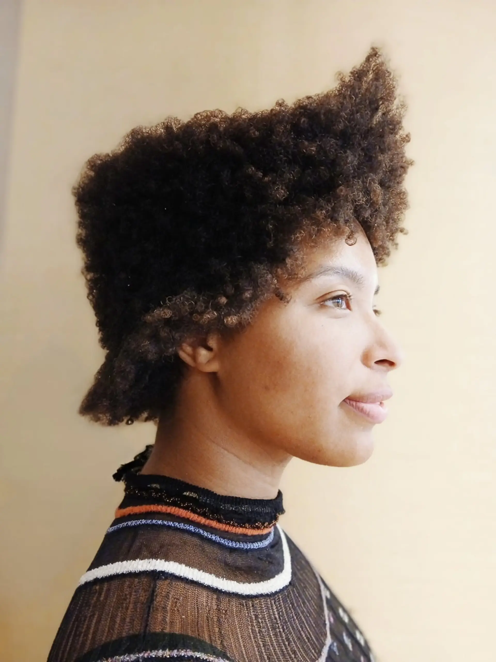 A short, high-top Afro with tight coils and a tapered cut. 1