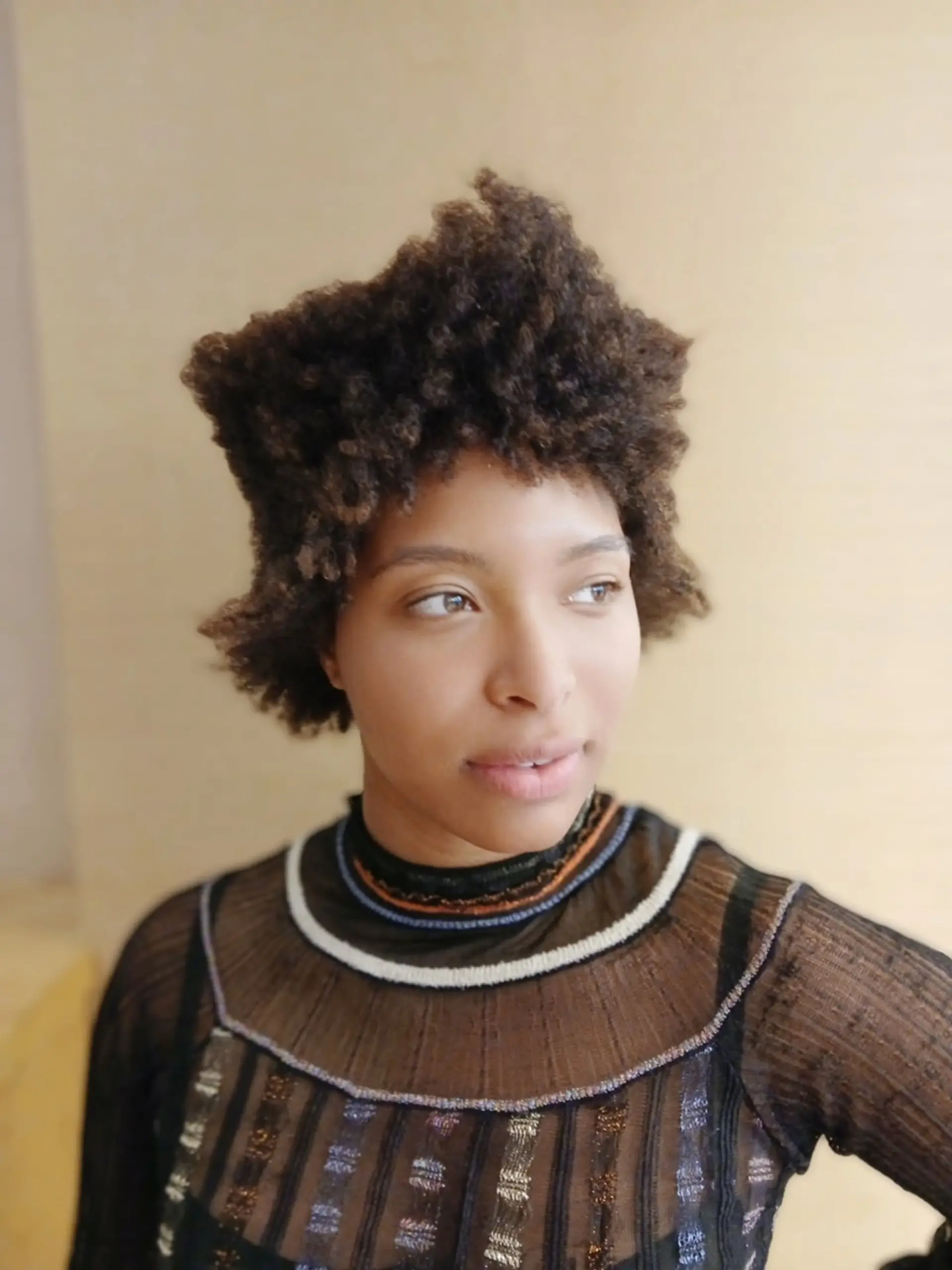 A short, high-top Afro with tight coils and a tapered cut. 2