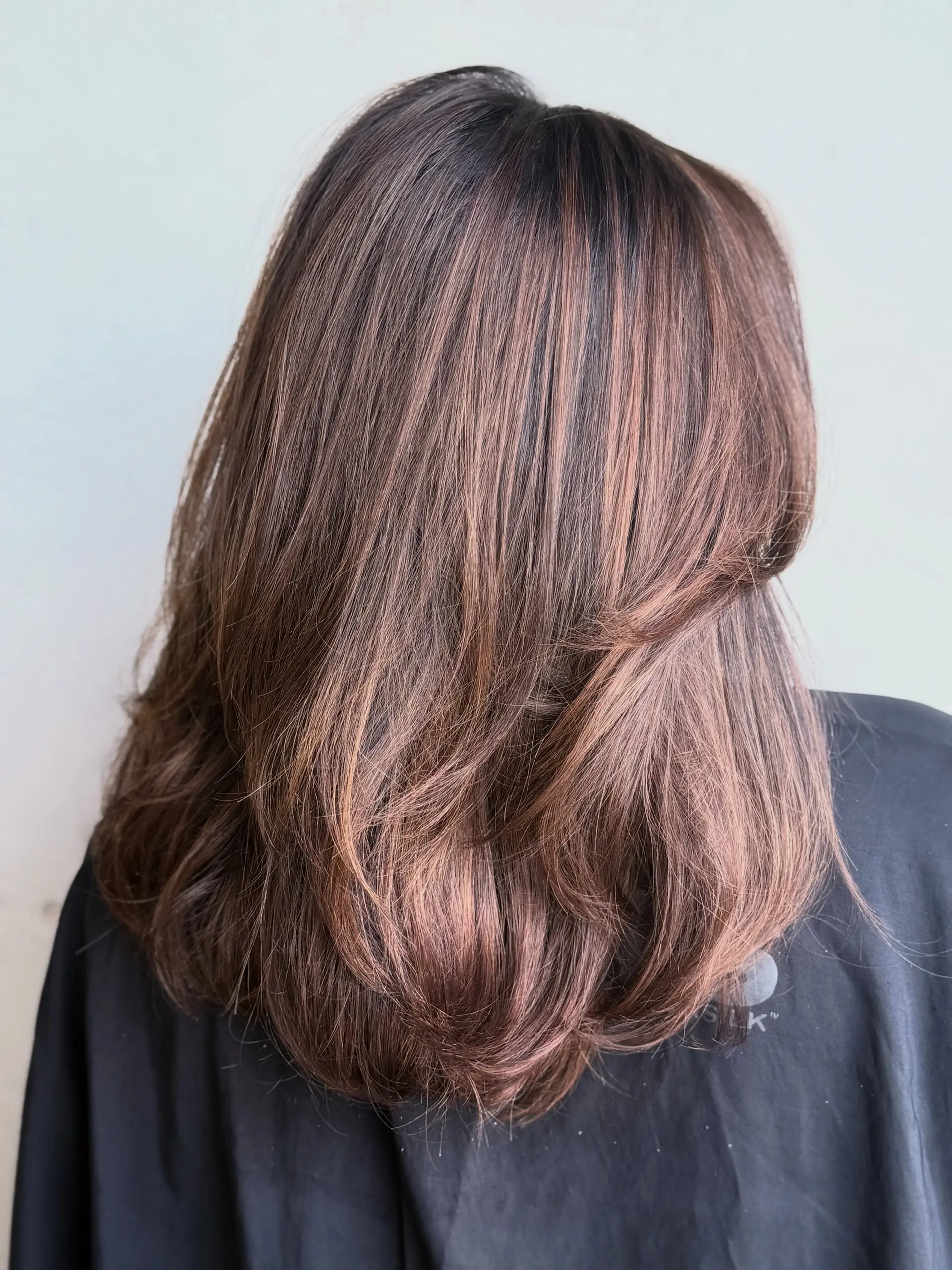 Medium-length dimensional brunette hair featuring soft warm highlights and smooth layered blowout styling. 1