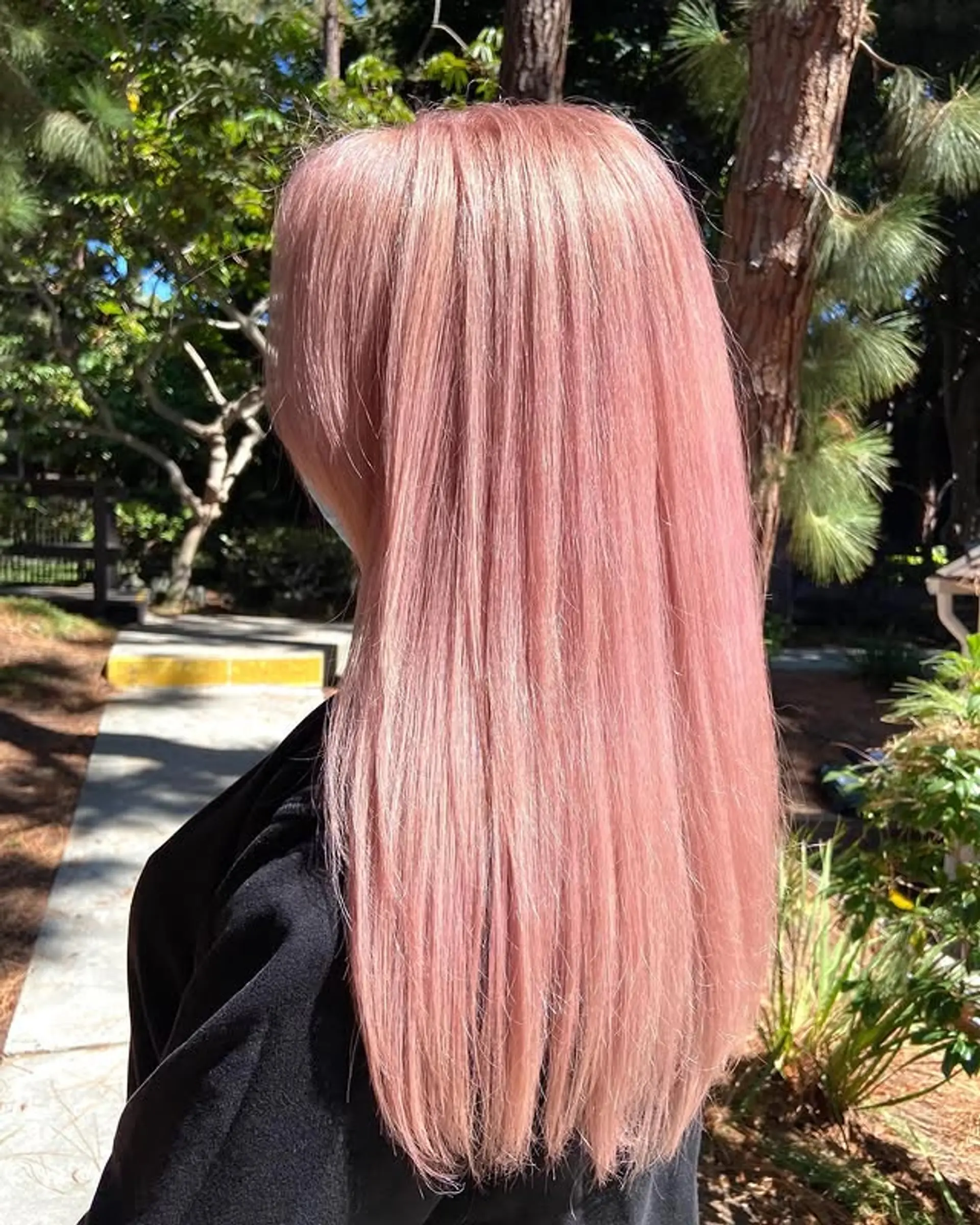 Long, straight hair colored in a rose gold shade. 1