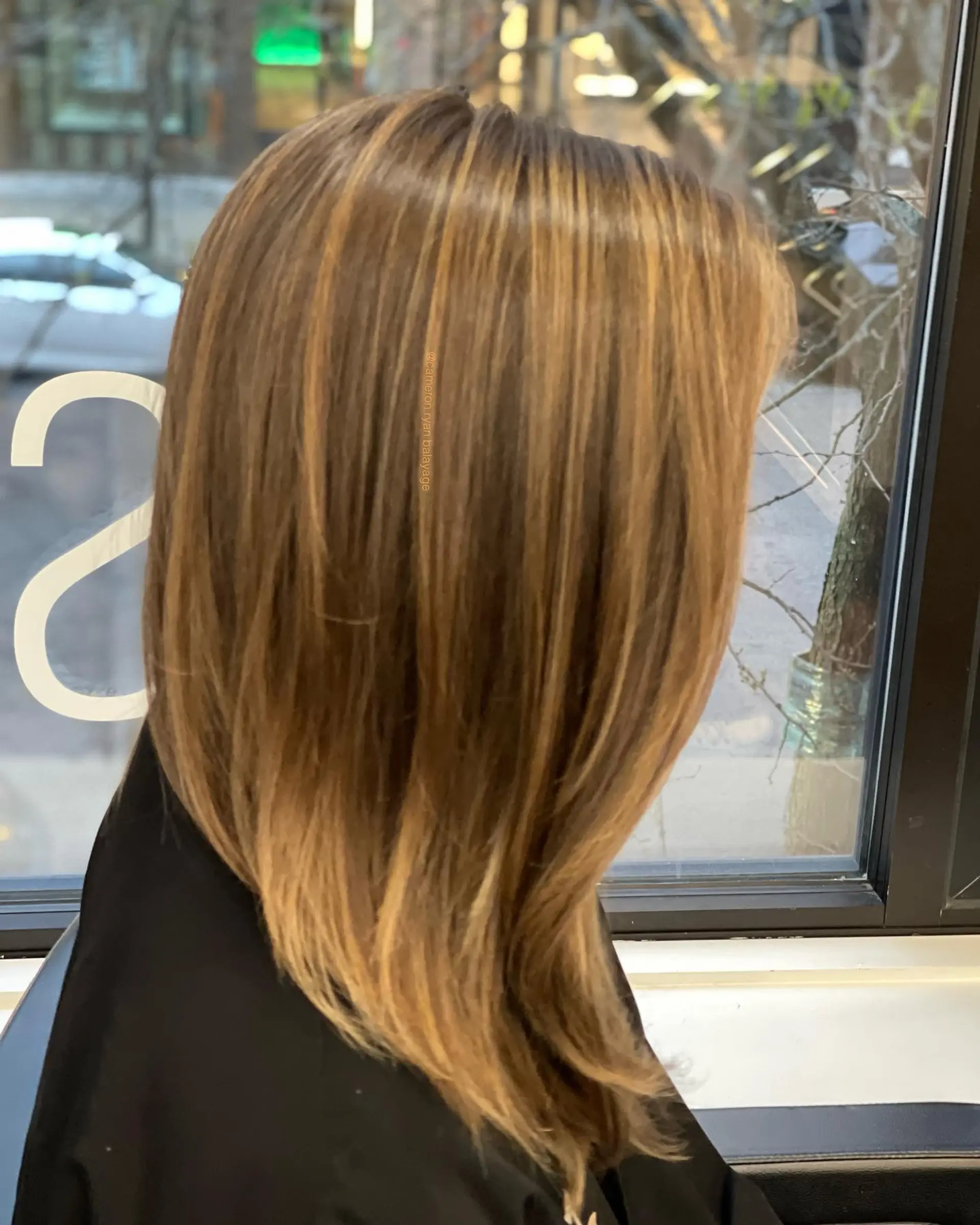 Smooth, straight medium-length hair with warm honey and caramel balayage highlights blended over a light brown base. 1