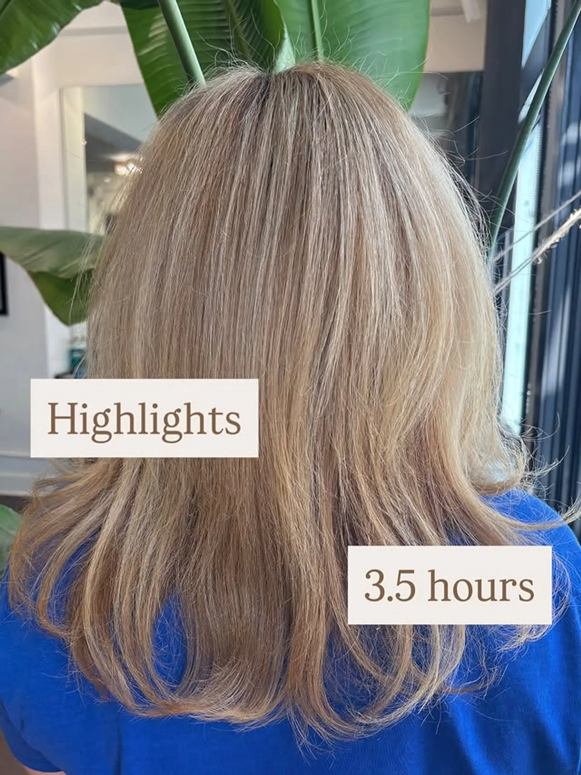 Medium length layered haircut with sandy blonde highlights. 1