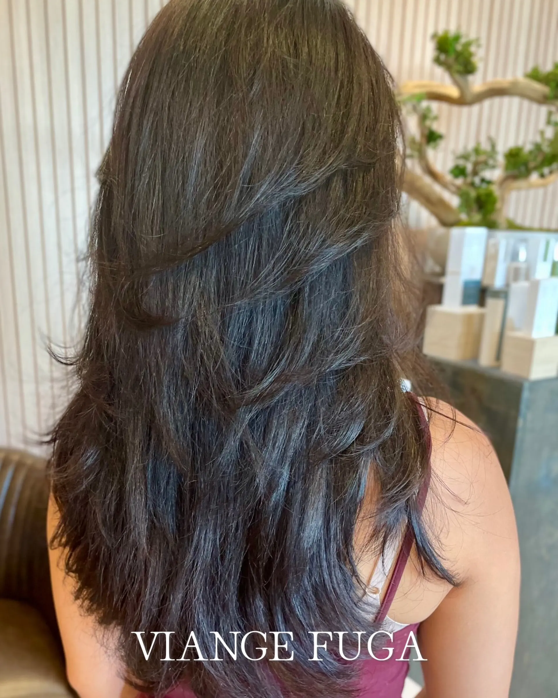 Long dark hair cut into seamless, feathered layers that create airy movement and soft texture. 1
