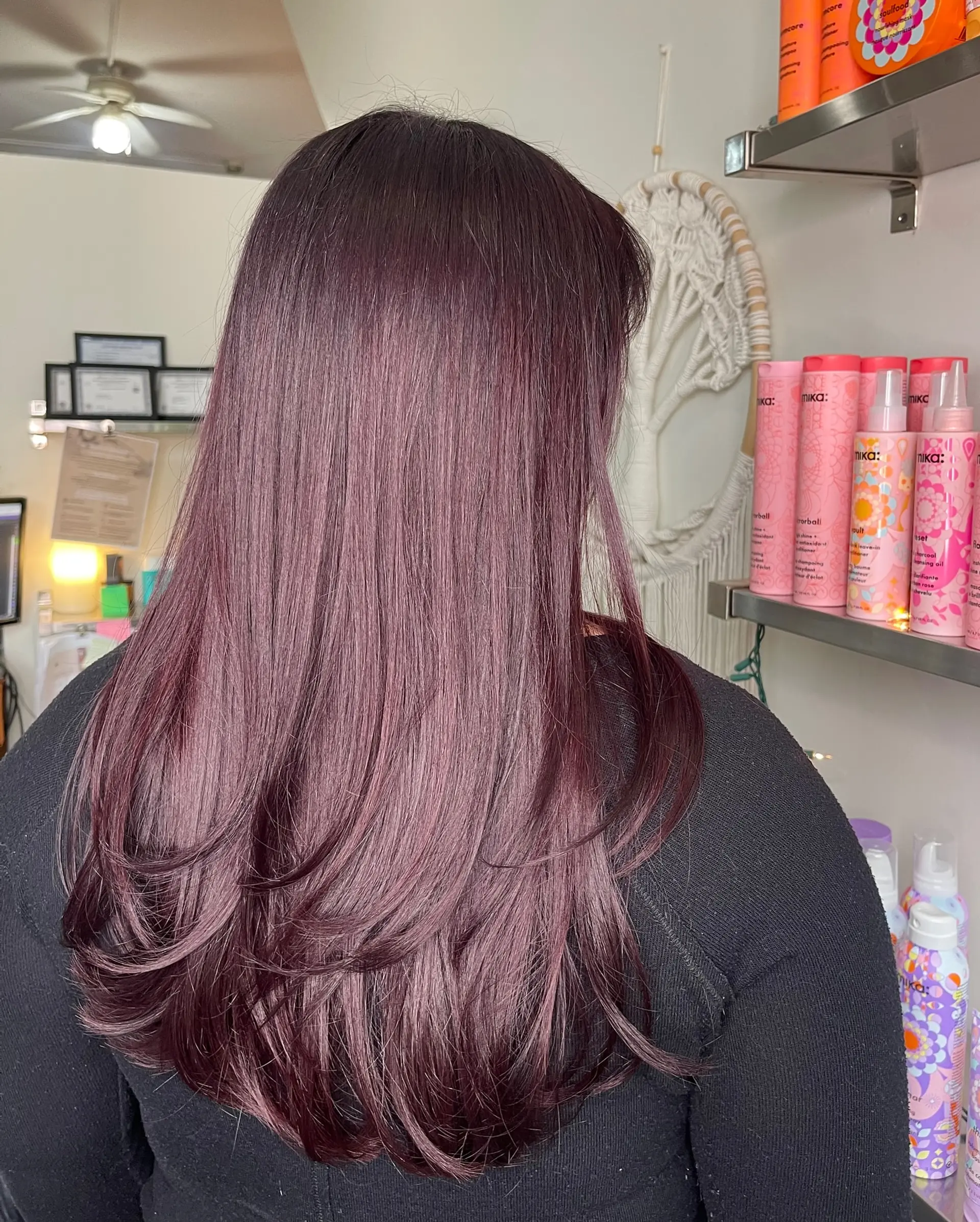Long deep mahogany-plum hair featuring flowing layered ends with a smooth, soft blowout finish. 1