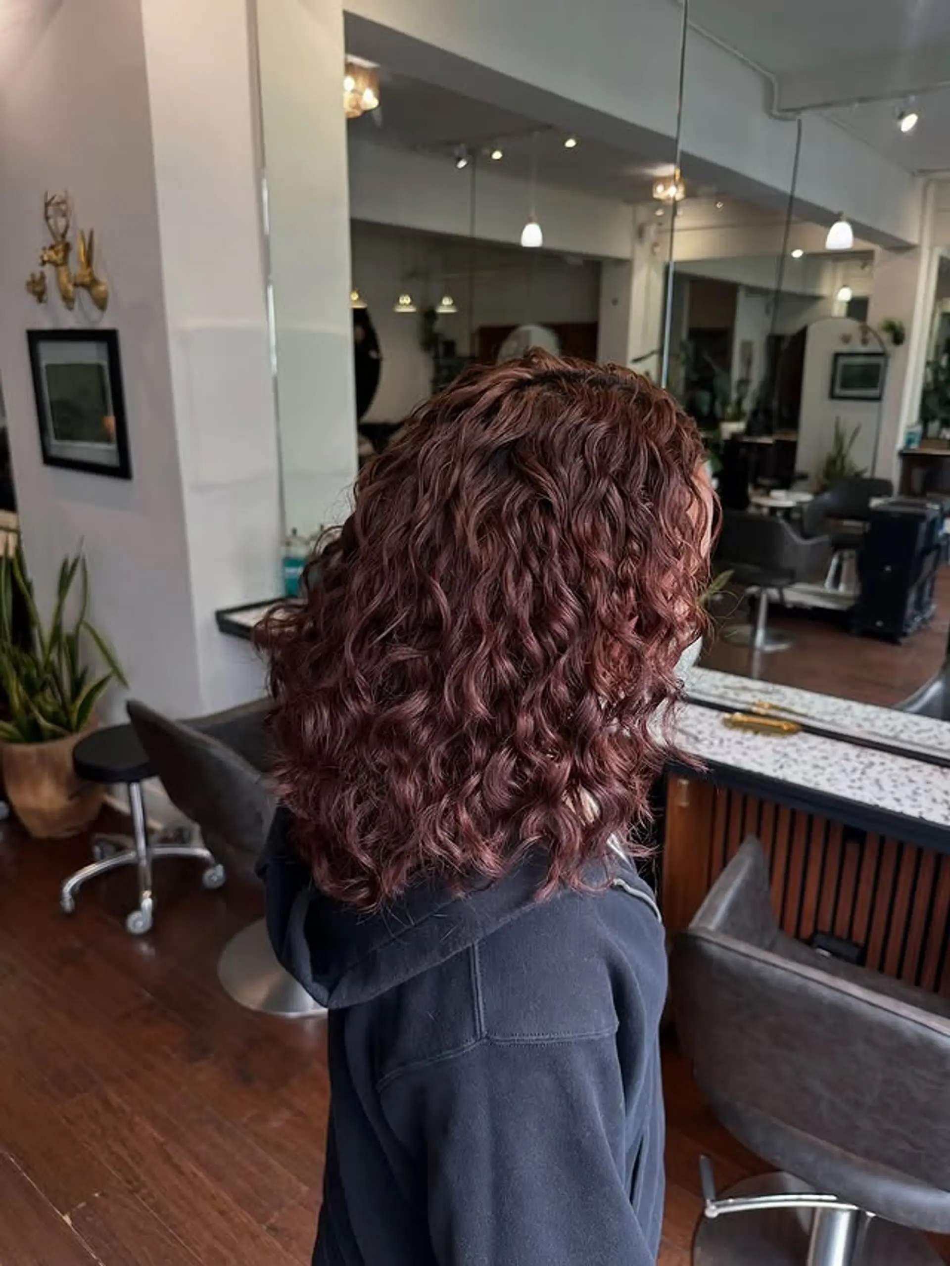 A medium length curly hairstyle with defined curls and a trendy burgundy color. 1