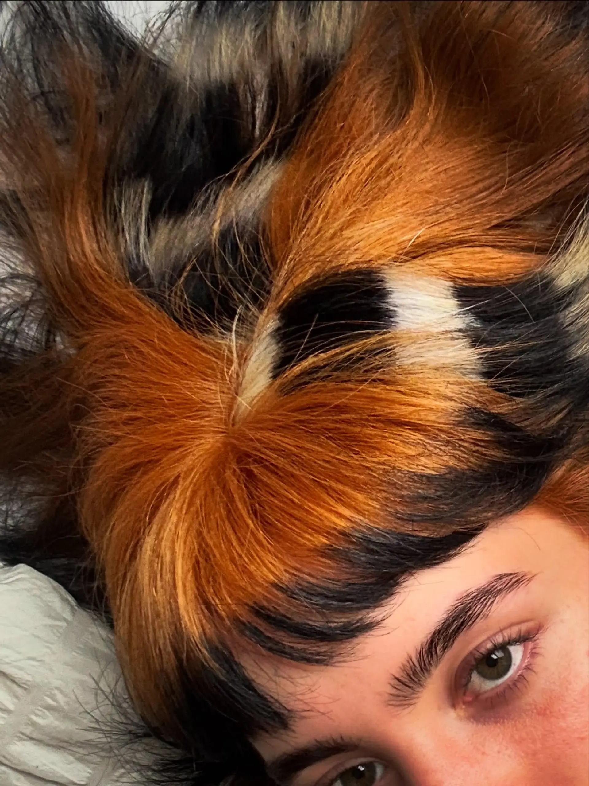 A multi-toned calico hair design in copper, black, and blonde with blunt micro bangs. 1
