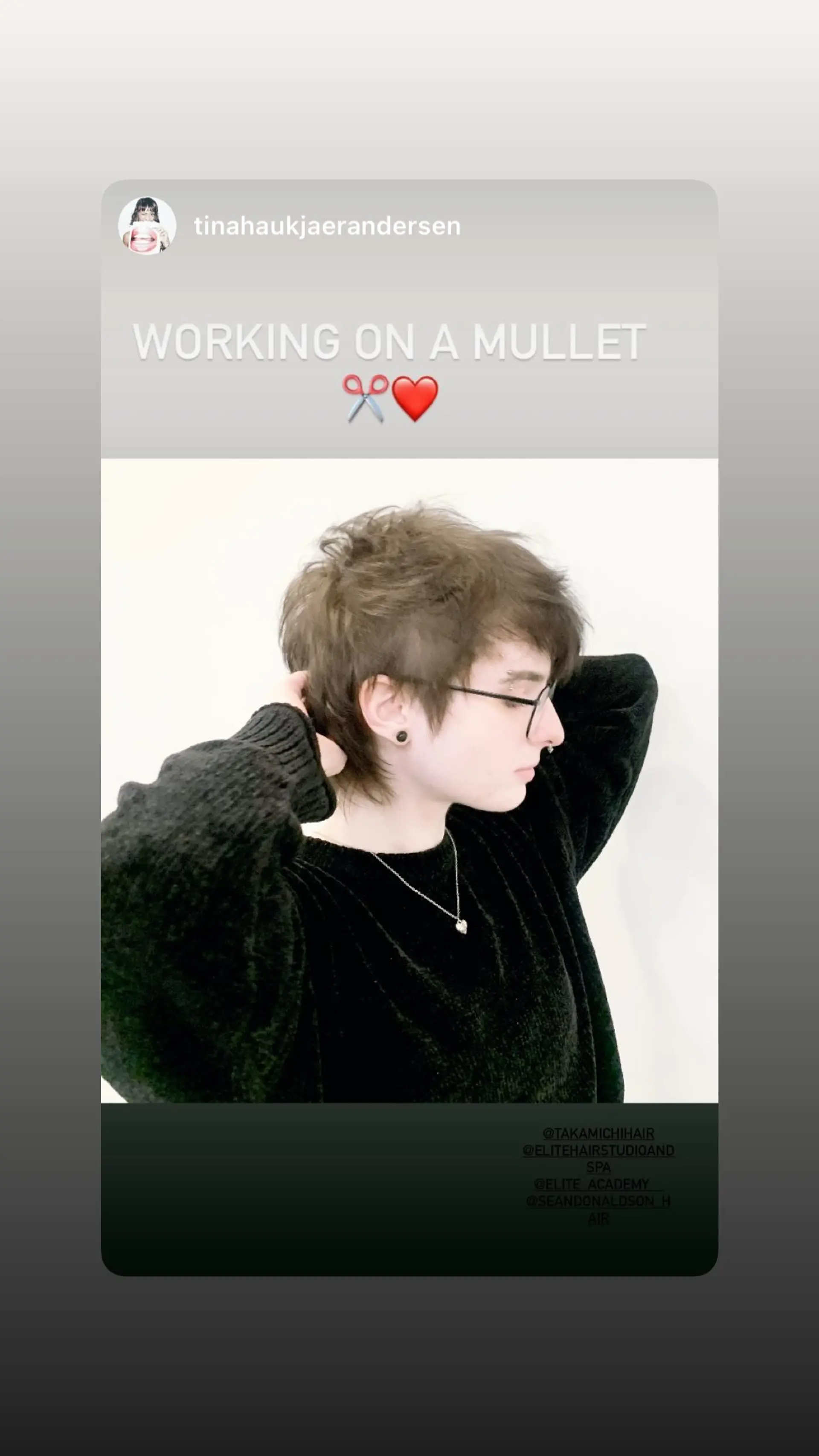 A modern take on the classic mullet, featuring a shaggy, layered texture with choppy ends for an edgy, contemporary look. 1