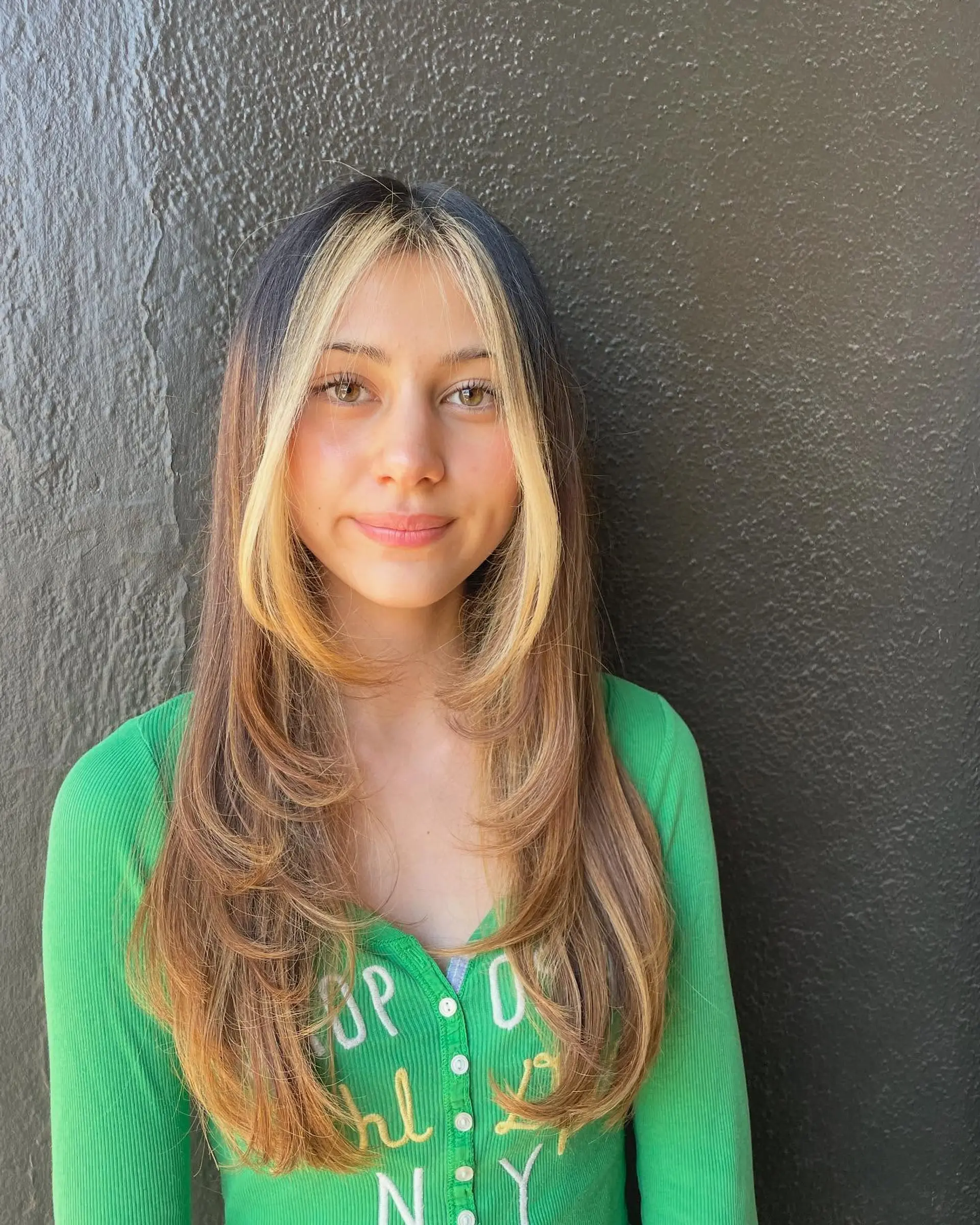 Long, straight hair with face-framing layers and blonde highlights. 1
