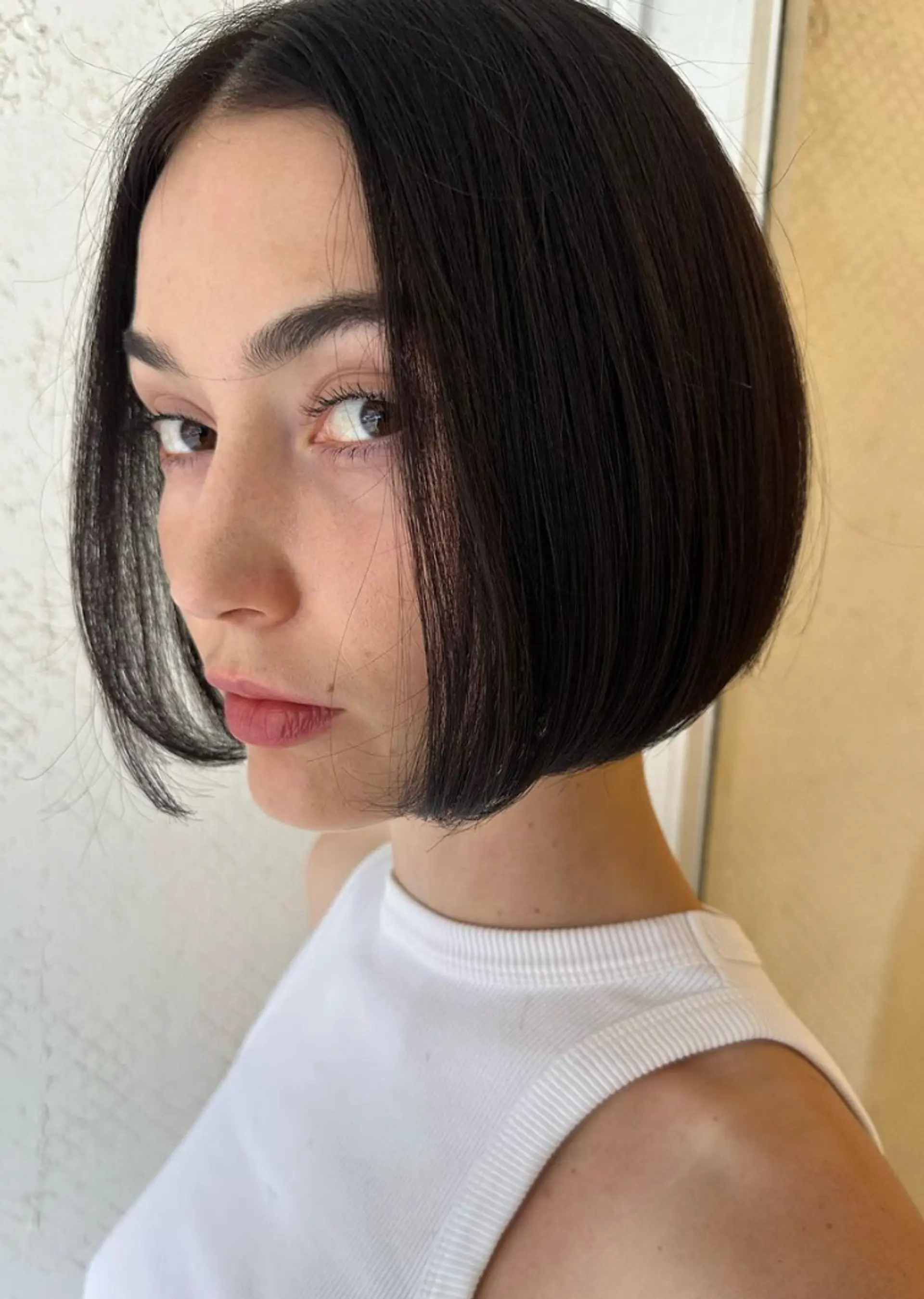 A sleek, short, straight bob with a blunt cut and dark brown color, featuring minimal layers and a smooth, face-framing design. 3