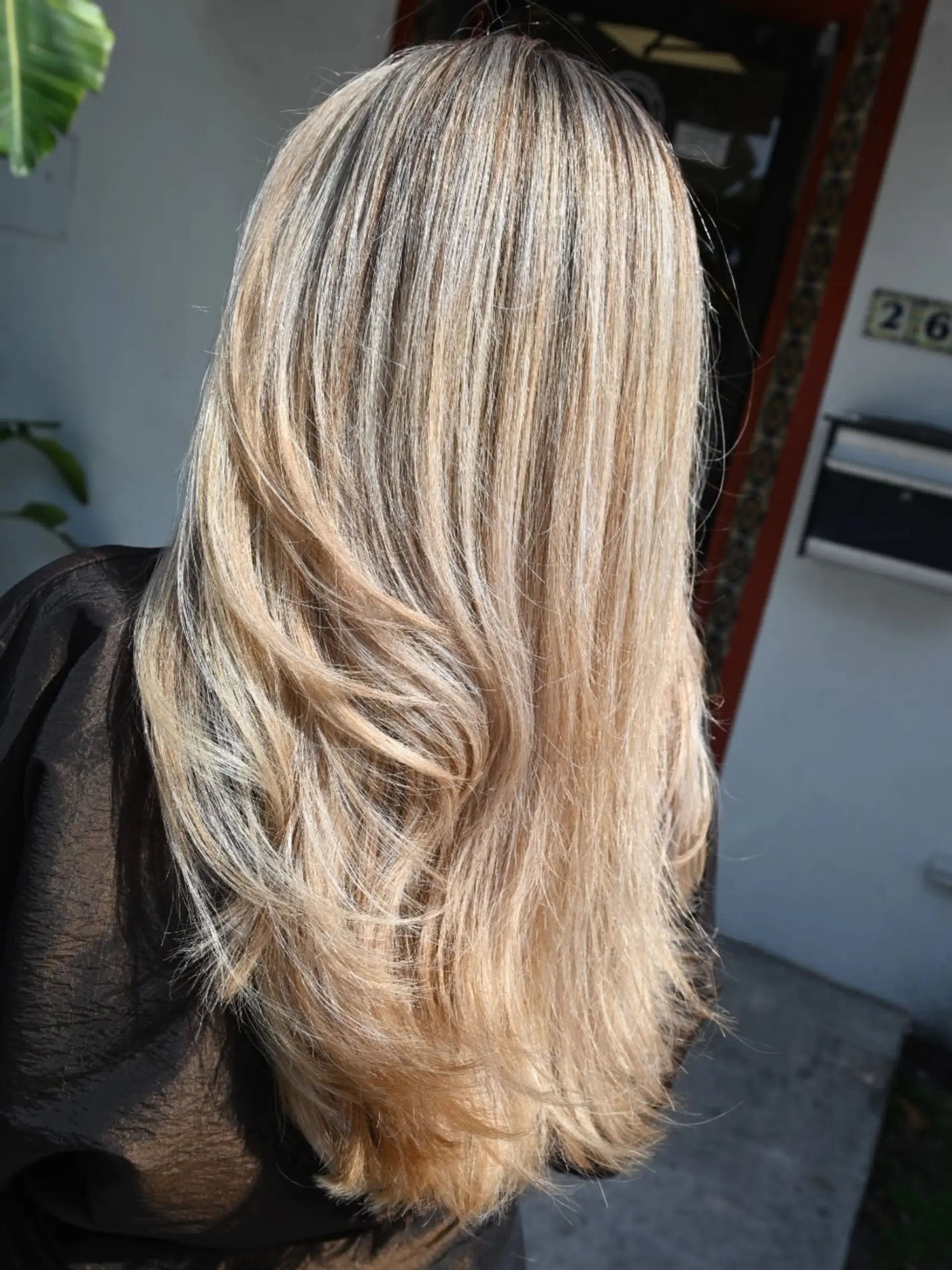 Long straight hair featuring fine blonde highlights layered over a natural darker base, creating dimensional brightness. 1