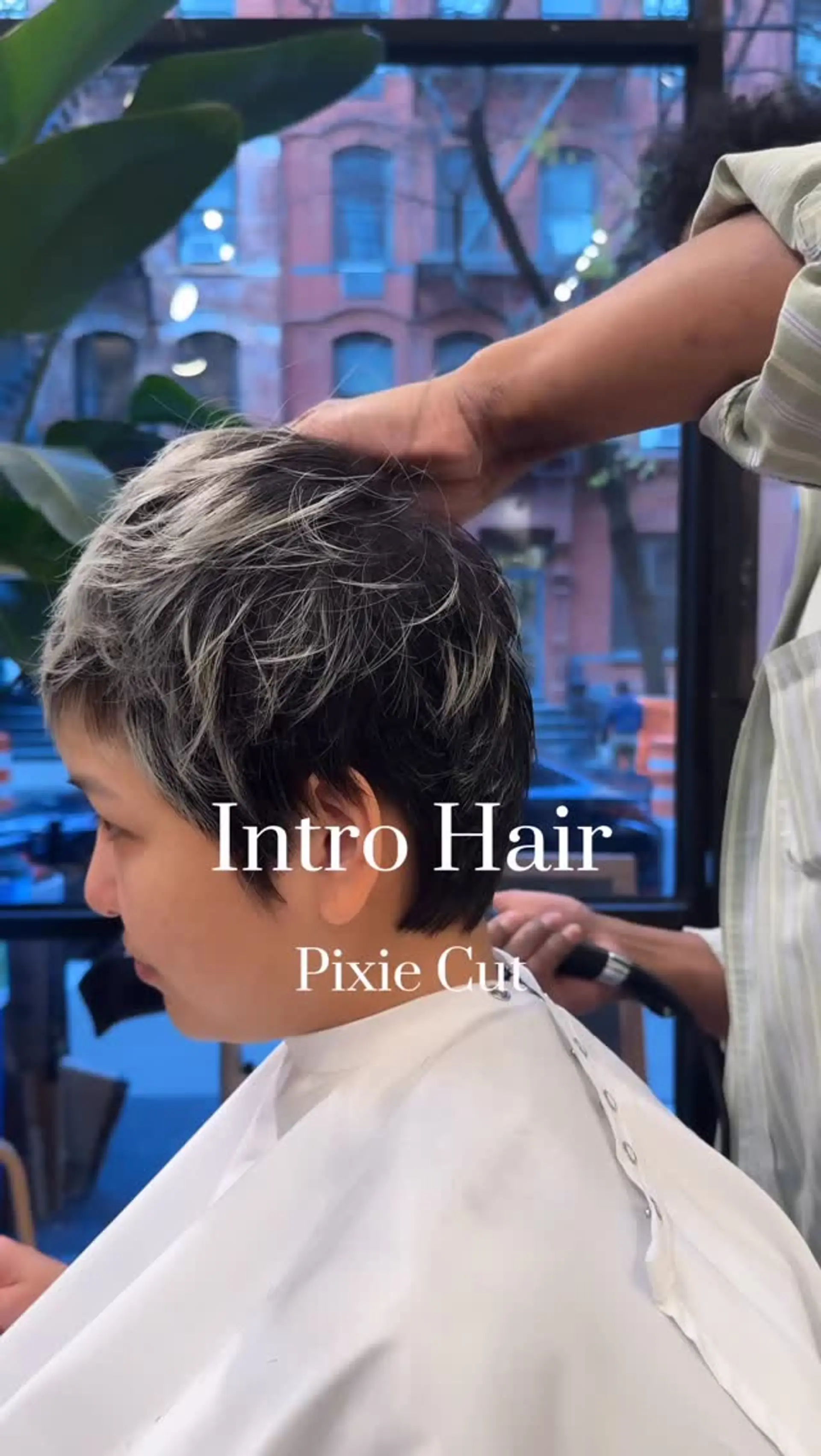 A layered, textured pixie cut featuring short tapered sides and feathered frosted tips on top. 1