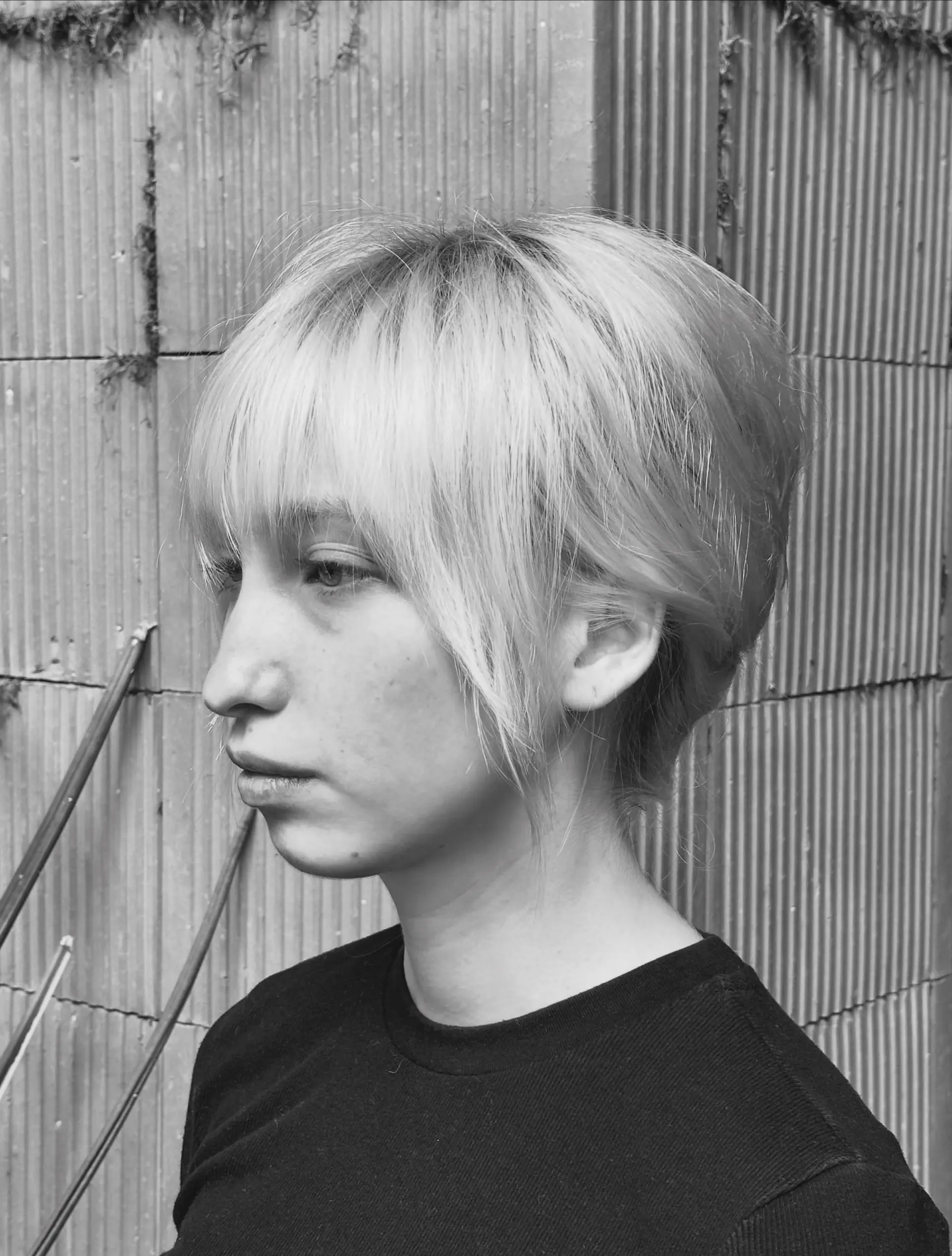 A vintage-inspired French twist updo with soft, brow-skimming bangs and face-framing wisps. 1