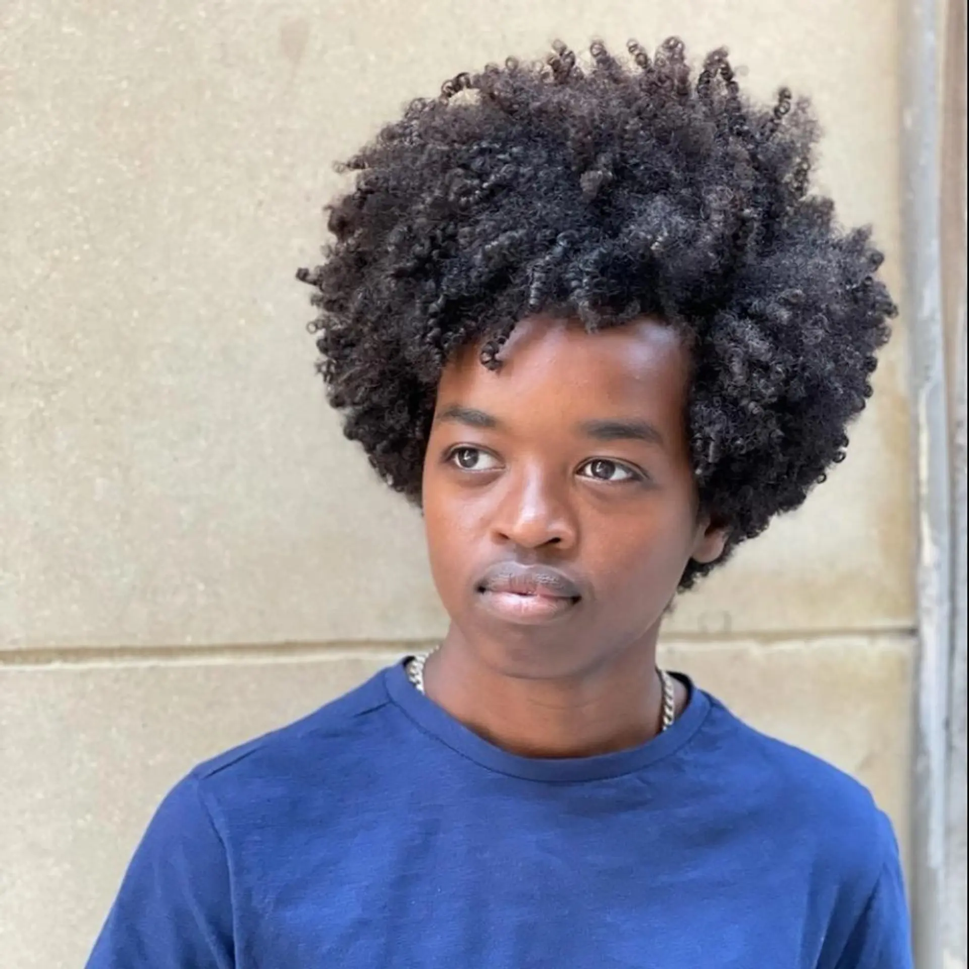 A voluminous medium-length Afro with tightly coiled, curly black hair, creating a natural, textured look. 1