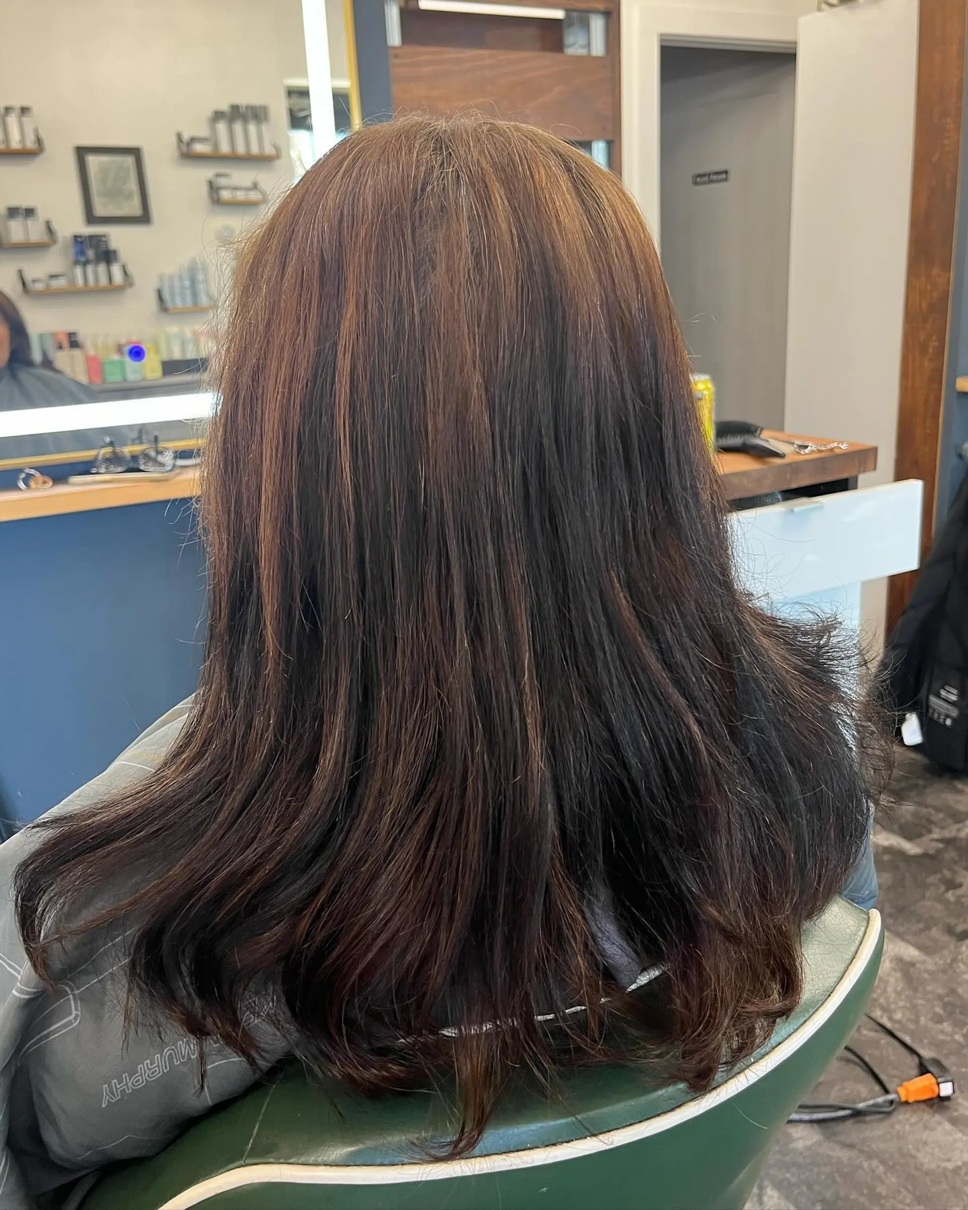 Long straight brunette hair with multi-tonal warm brown highlights, styled with softly curved ends. 1