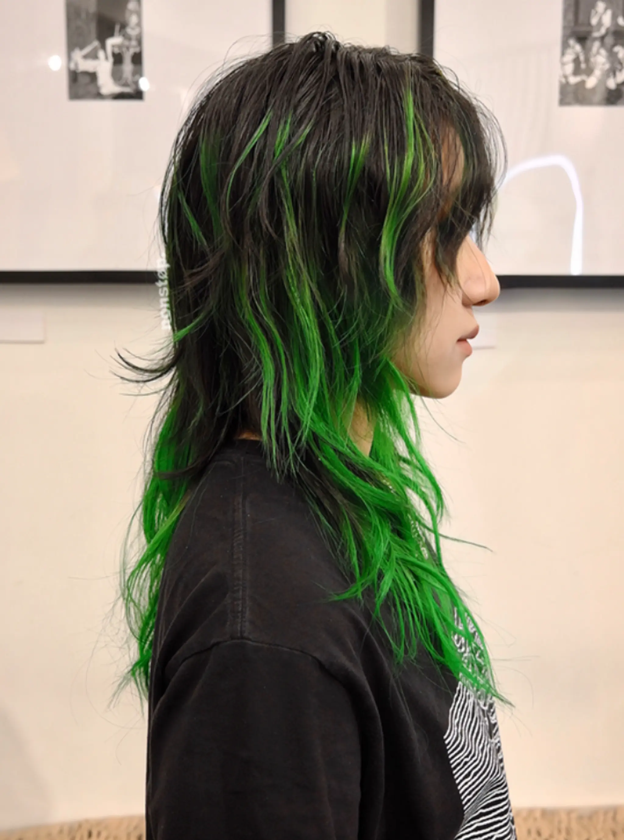Long, wavy hair with a shaggy, layered cut. The predominant colors are black and vibrant green, with the green highlighting the fringes and layers. The layers provide a dynamic and voluminous look, while the green color adds an element of boldness, giving the hairstyle a distinct and fashionable edge.
(NonstopStyle: by Vincent) 1