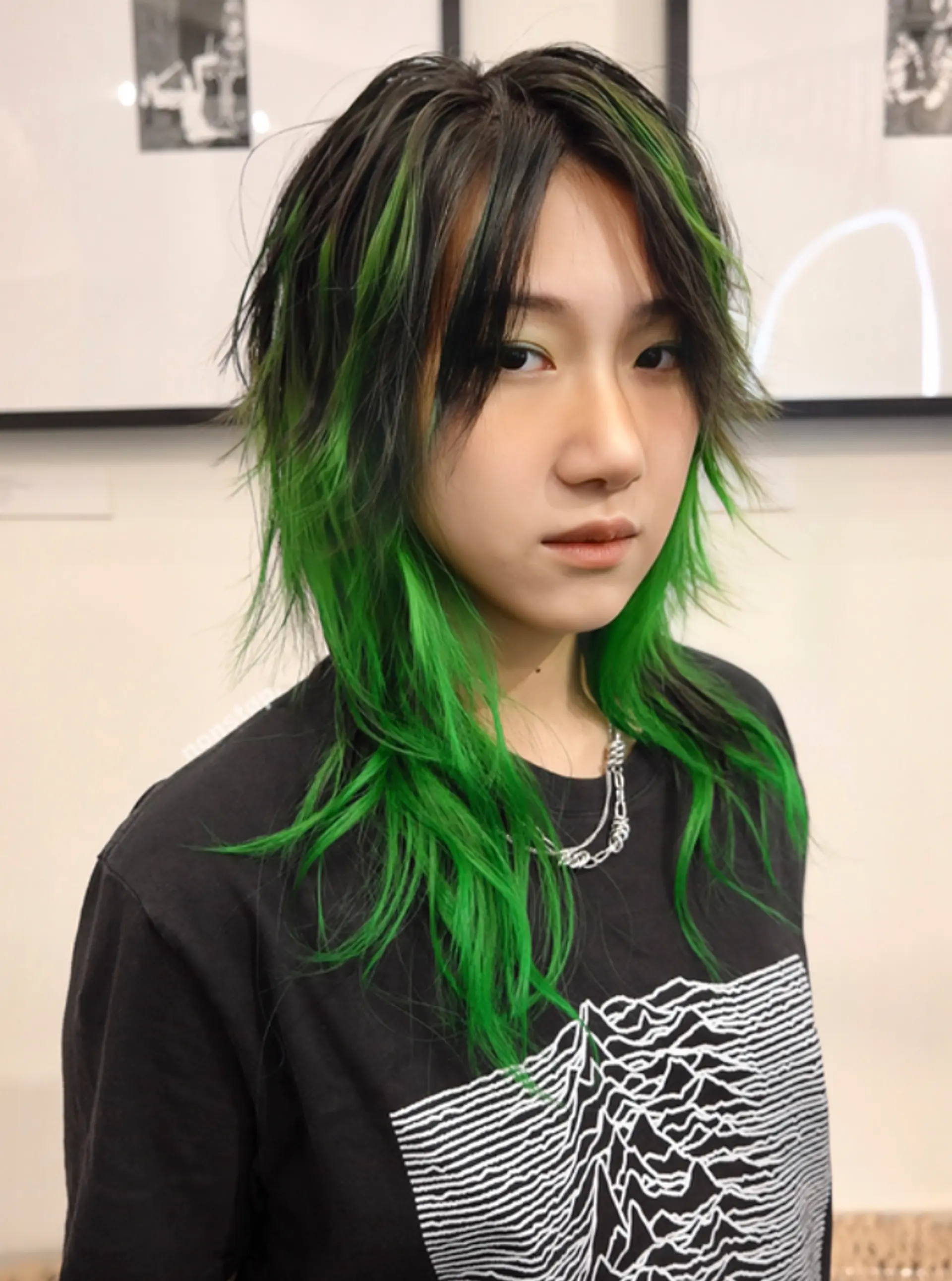 Long, wavy hair with a shaggy, layered cut. The predominant colors are black and vibrant green, with the green highlighting the fringes and layers. The layers provide a dynamic and voluminous look, while the green color adds an element of boldness, giving the hairstyle a distinct and fashionable edge.
(NonstopStyle: by Vincent) 2