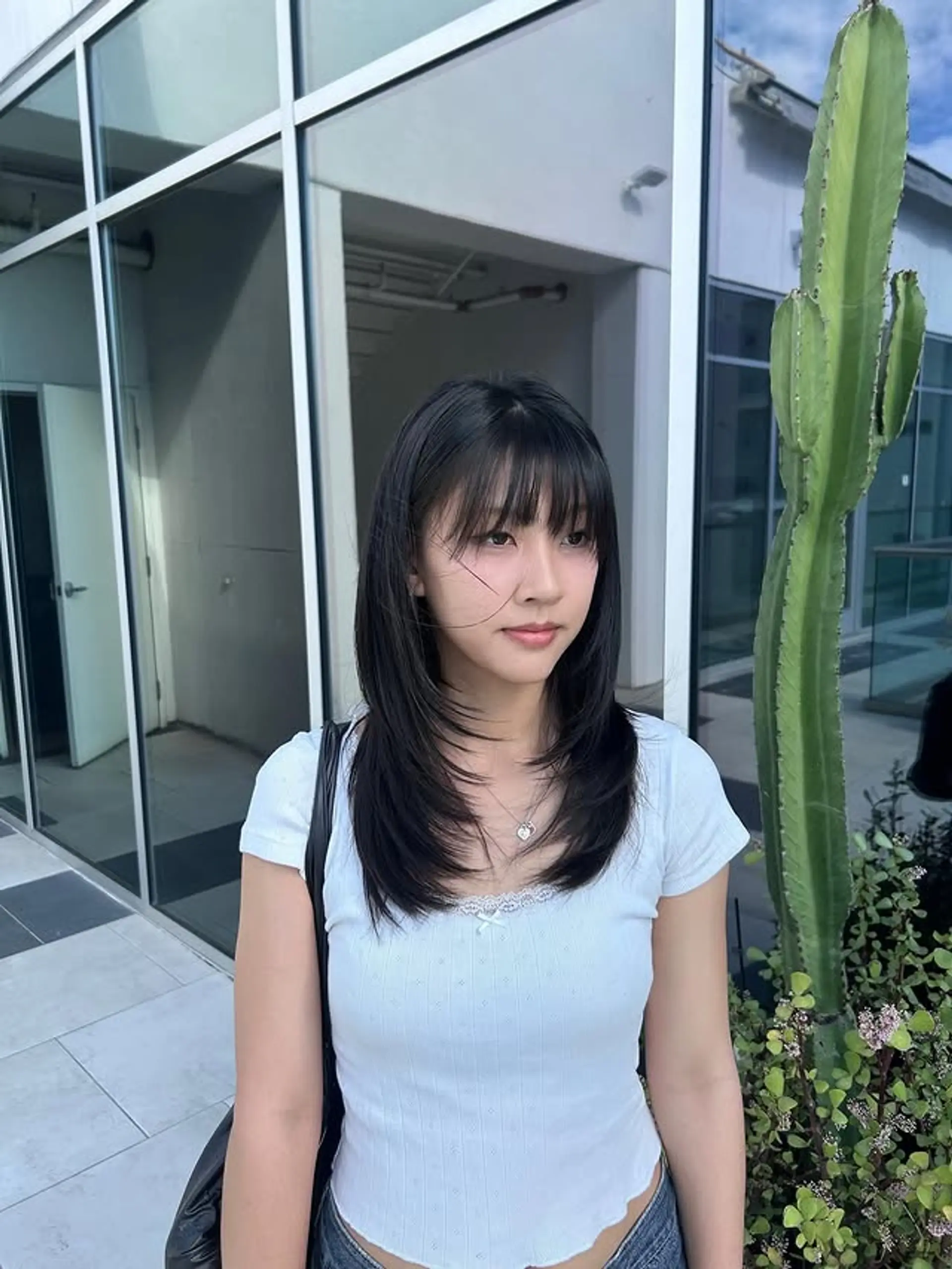 A layered wolf cut with wispy, see-through bangs. 1