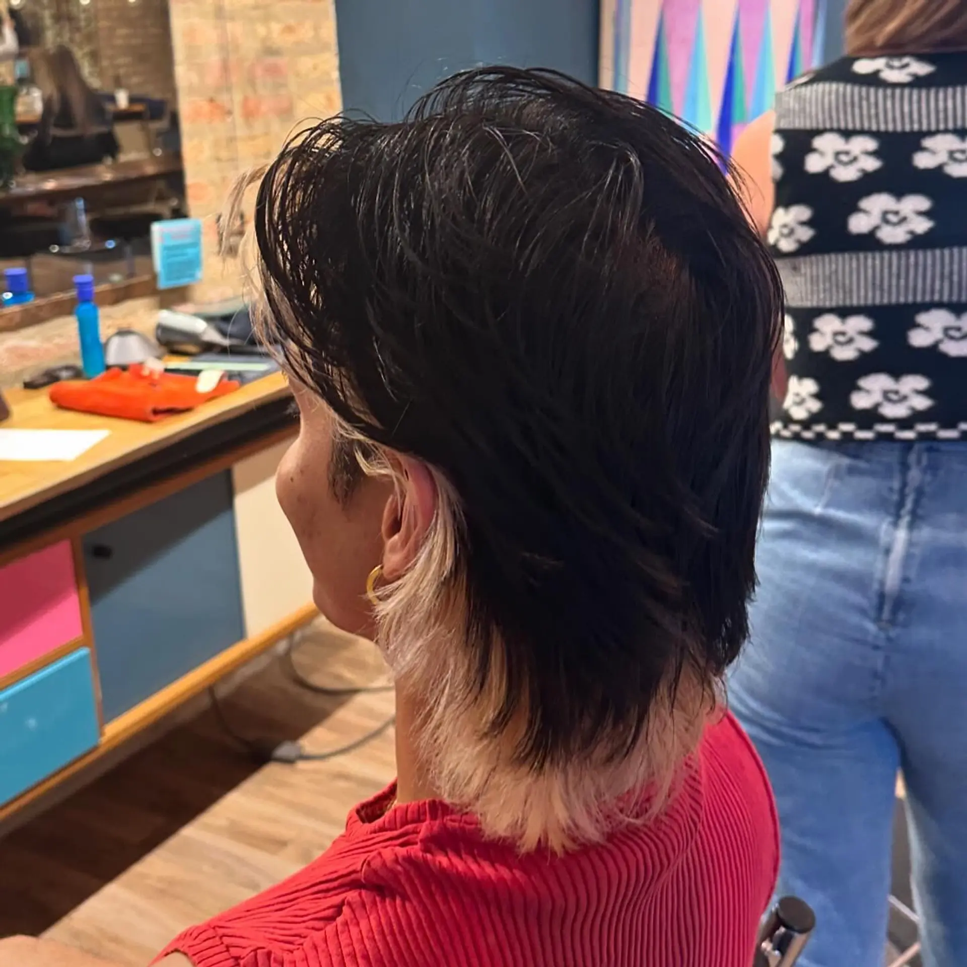 A modern take on the classic mullet, featuring choppy layers and a two-tone color scheme. 3