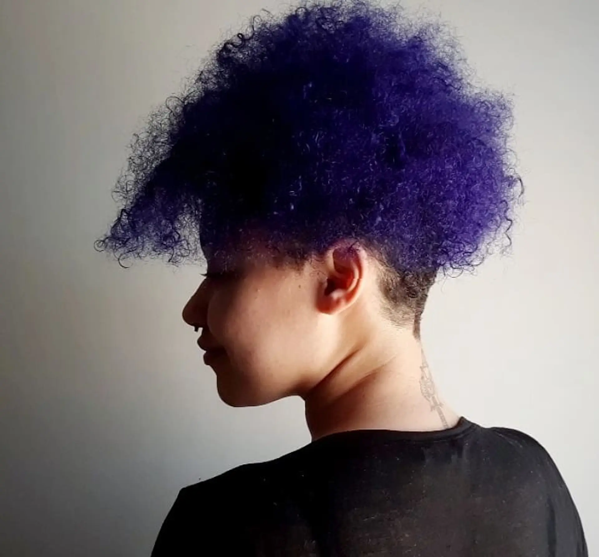 A bold, curly hairstyle featuring an undercut and a vibrant indigo color. 1