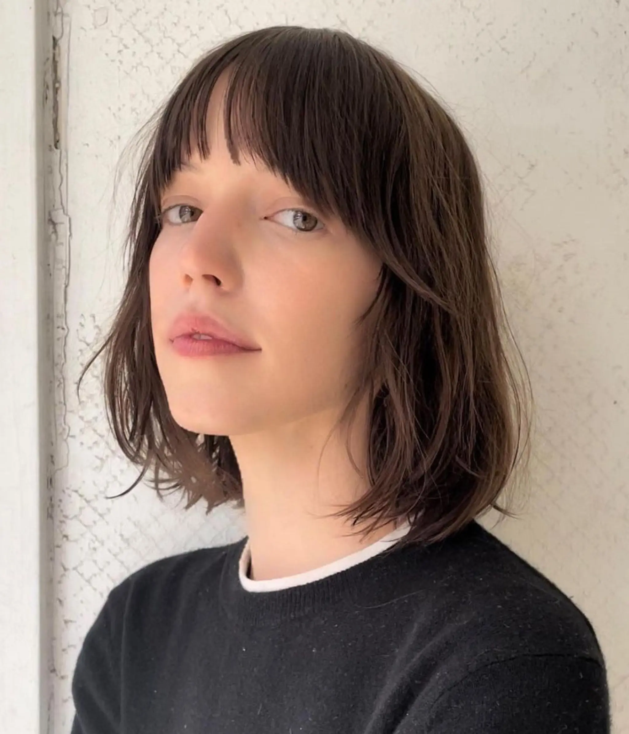 A medium-length chic shaggy bob with dark brown wavy hair, featuring blunt bangs and tousled layers. 1