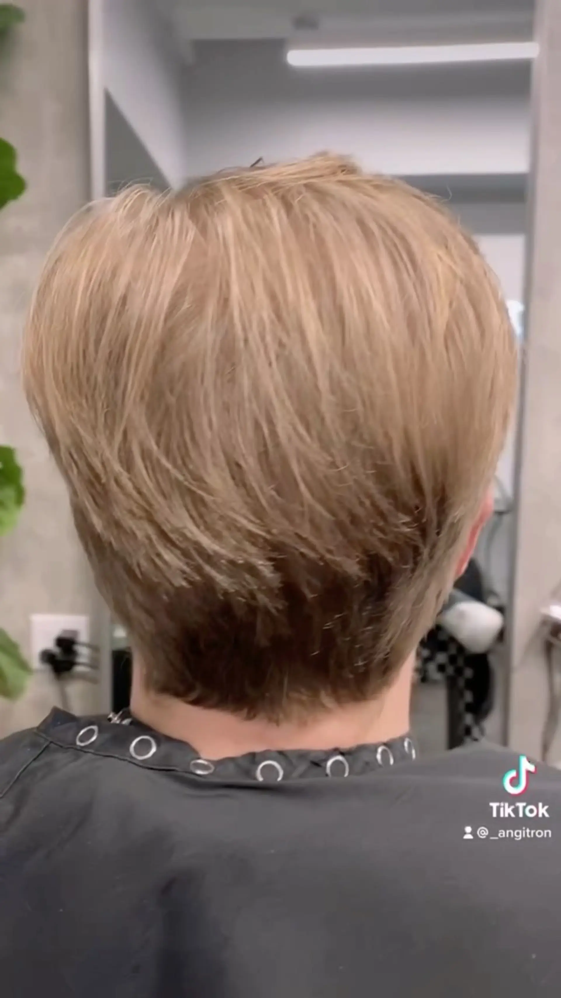 A rear view of a short layered haircut featuring soft texture and a tapered nape. 1