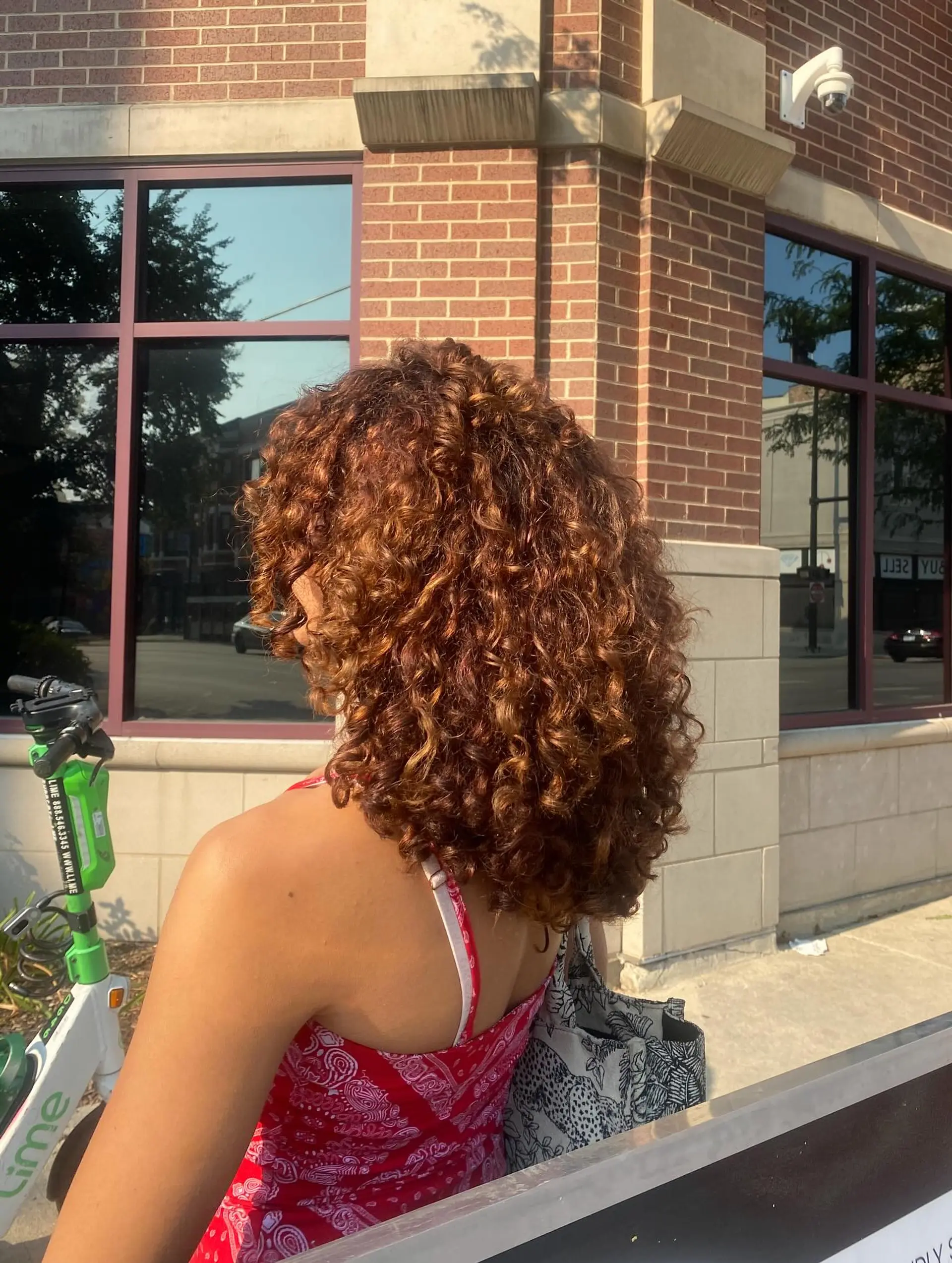 A stylish, medium-length bob with bouncy, defined curls and a rich copper color. 3