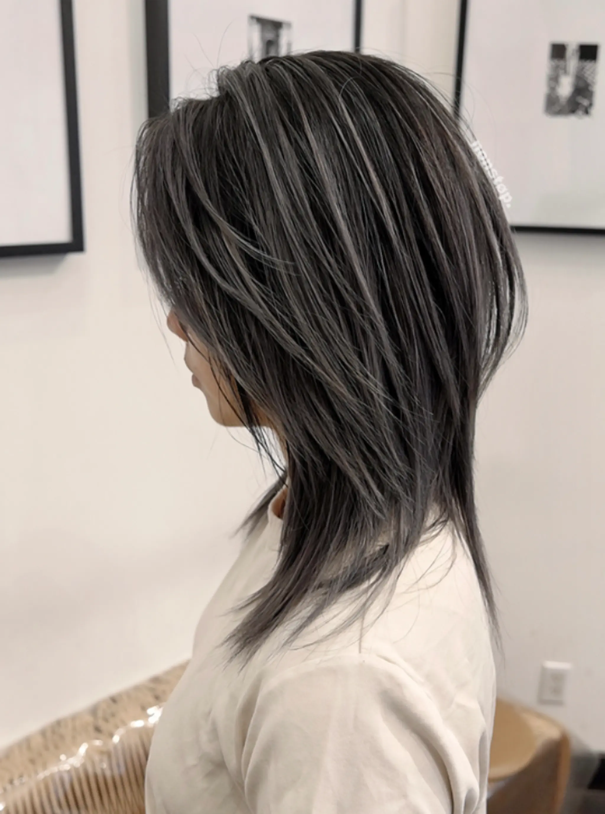 A stunning medium-length hairstyle featuring layers and a feathered texture. The hair is straight with a blend of gray and black colors, creating a striking contrast. The layers frame the face beautifully, and the tapered ends add to the sleek, modern look.
(NonstopStyle: by Hiro)
