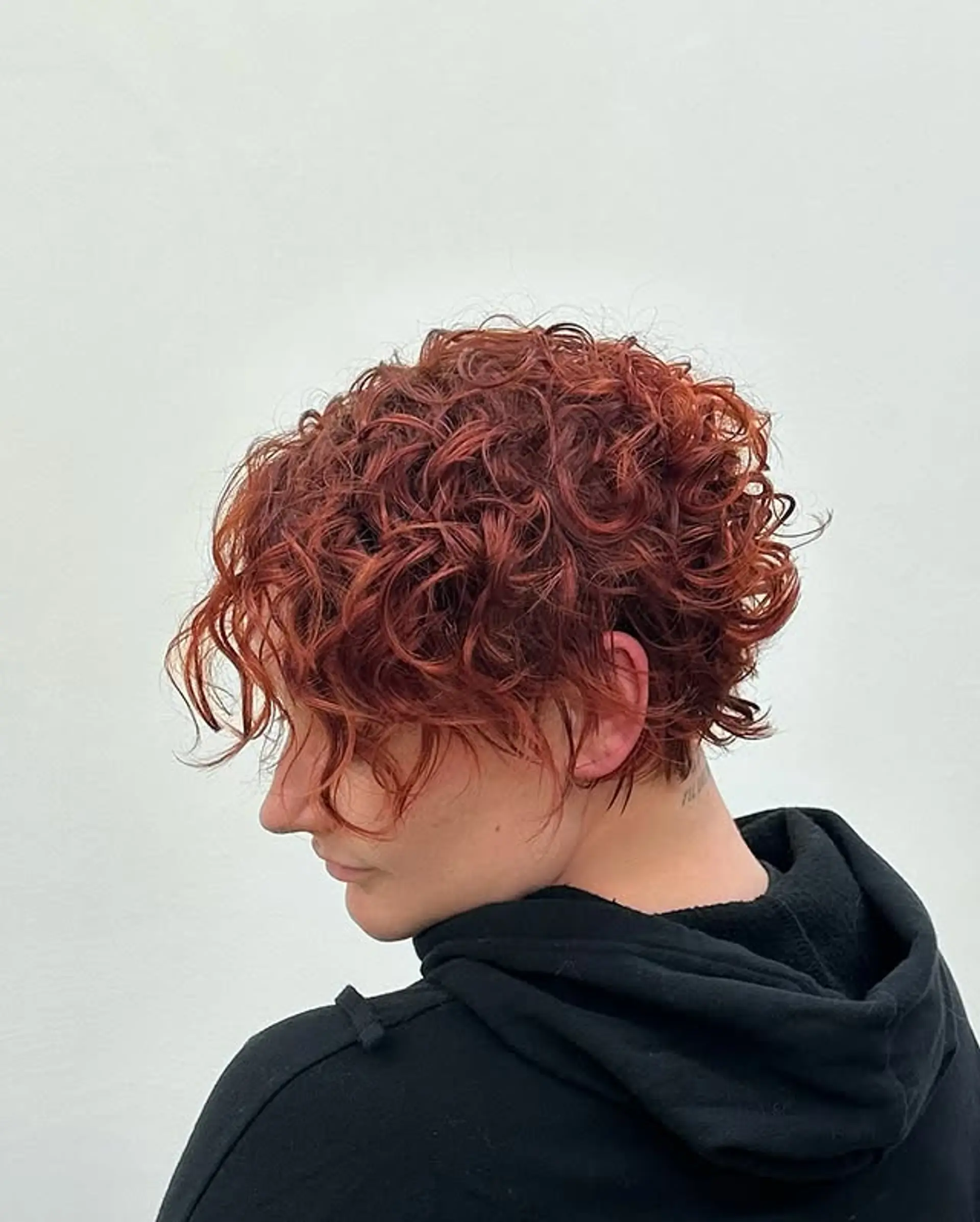 A short curly pixie cut that accentuates natural curls, creating a voluminous and textured style. 1