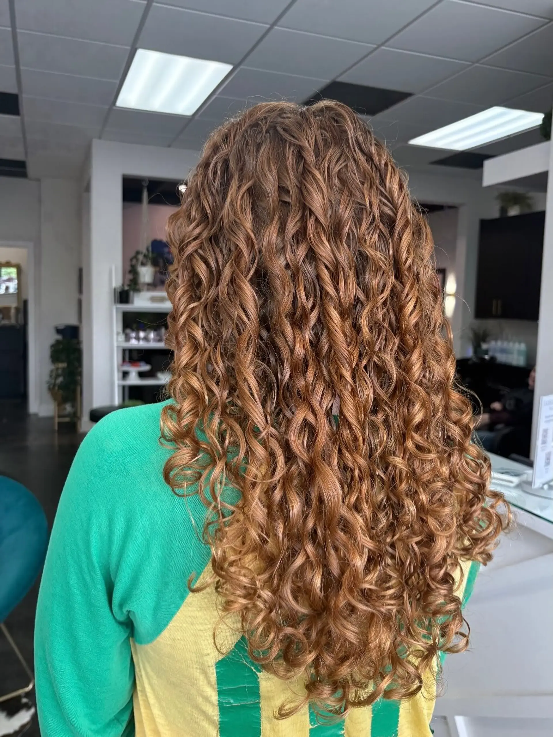 Long, defined curls and ringlets cascading down the back in warm light brown and caramel tones. 1