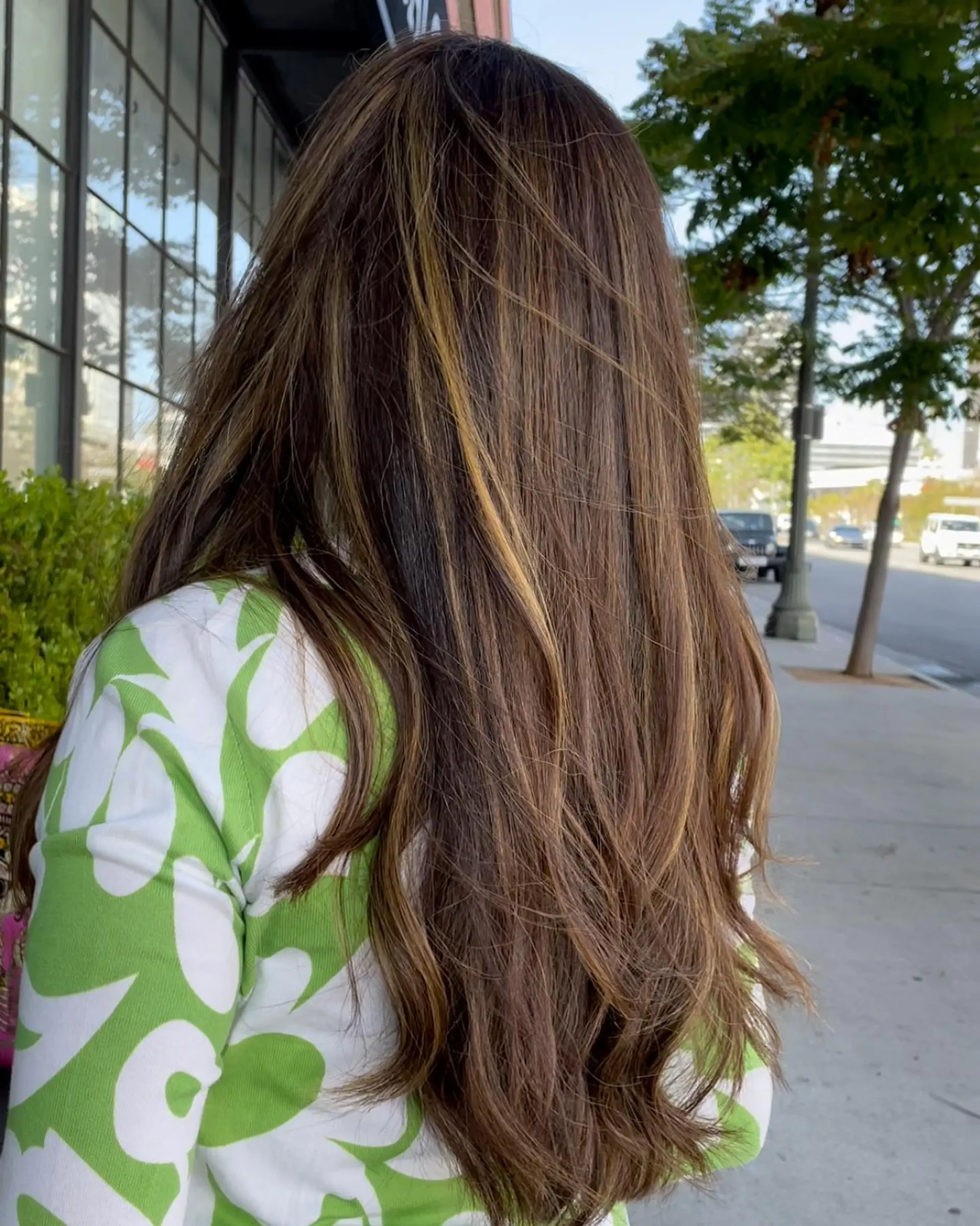 Long brunette hair styled with textured ends and accented with warm caramel balayage highlights. 1