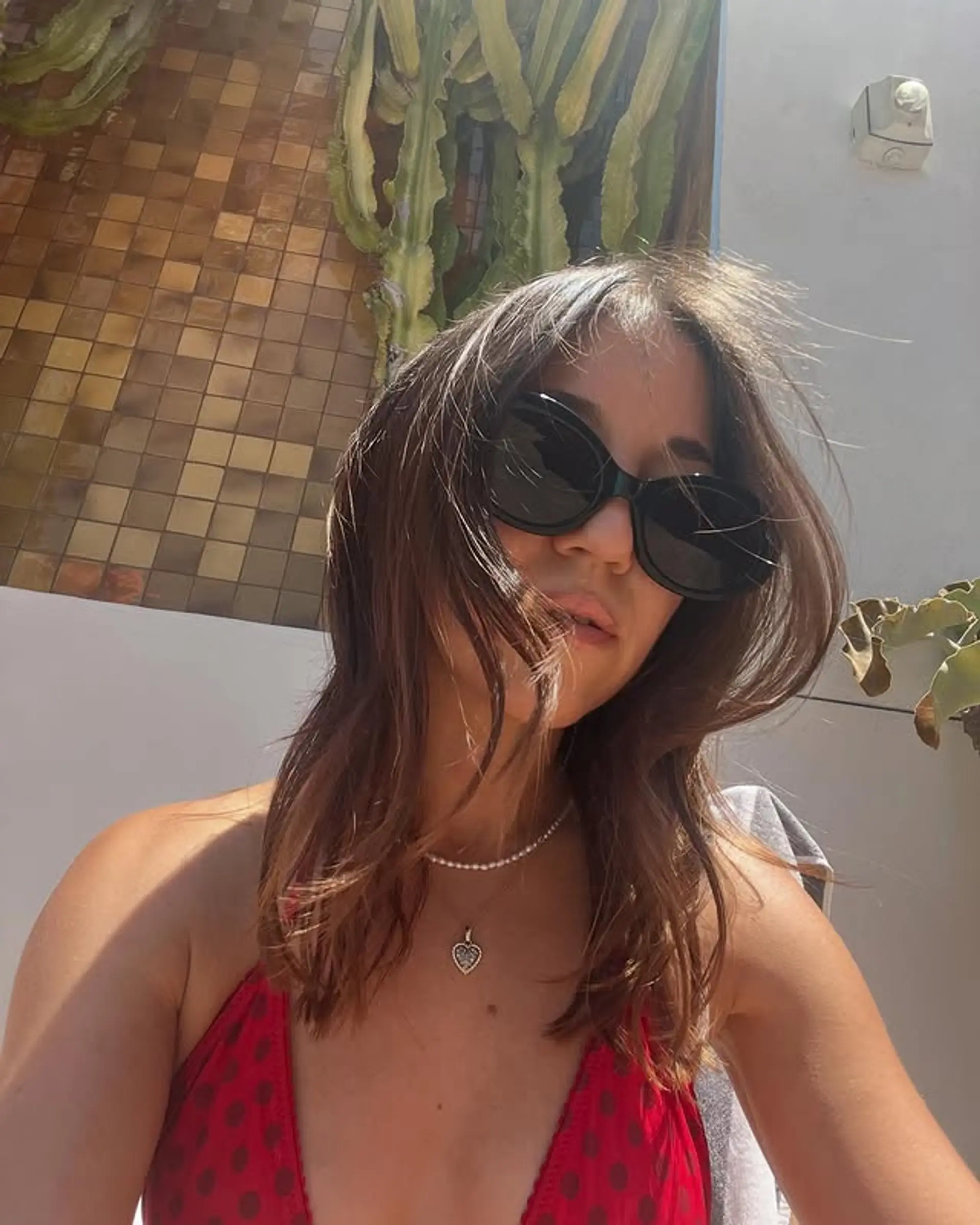 A layered shag with a blend of brown and blonde tones. 1