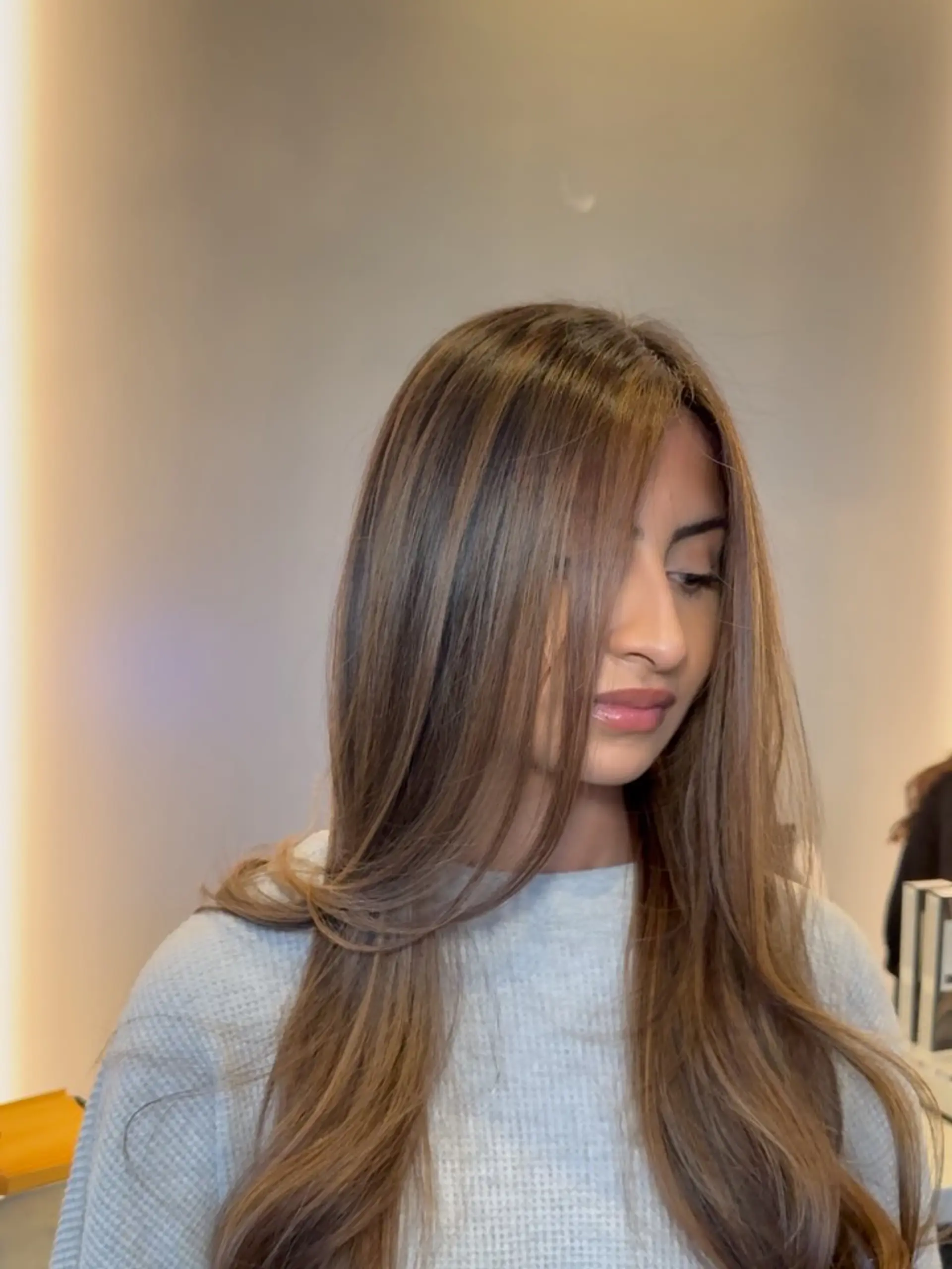 Soft dimensional foiliage on long mocha brunette hair styled in a smooth, polished blowout. 1