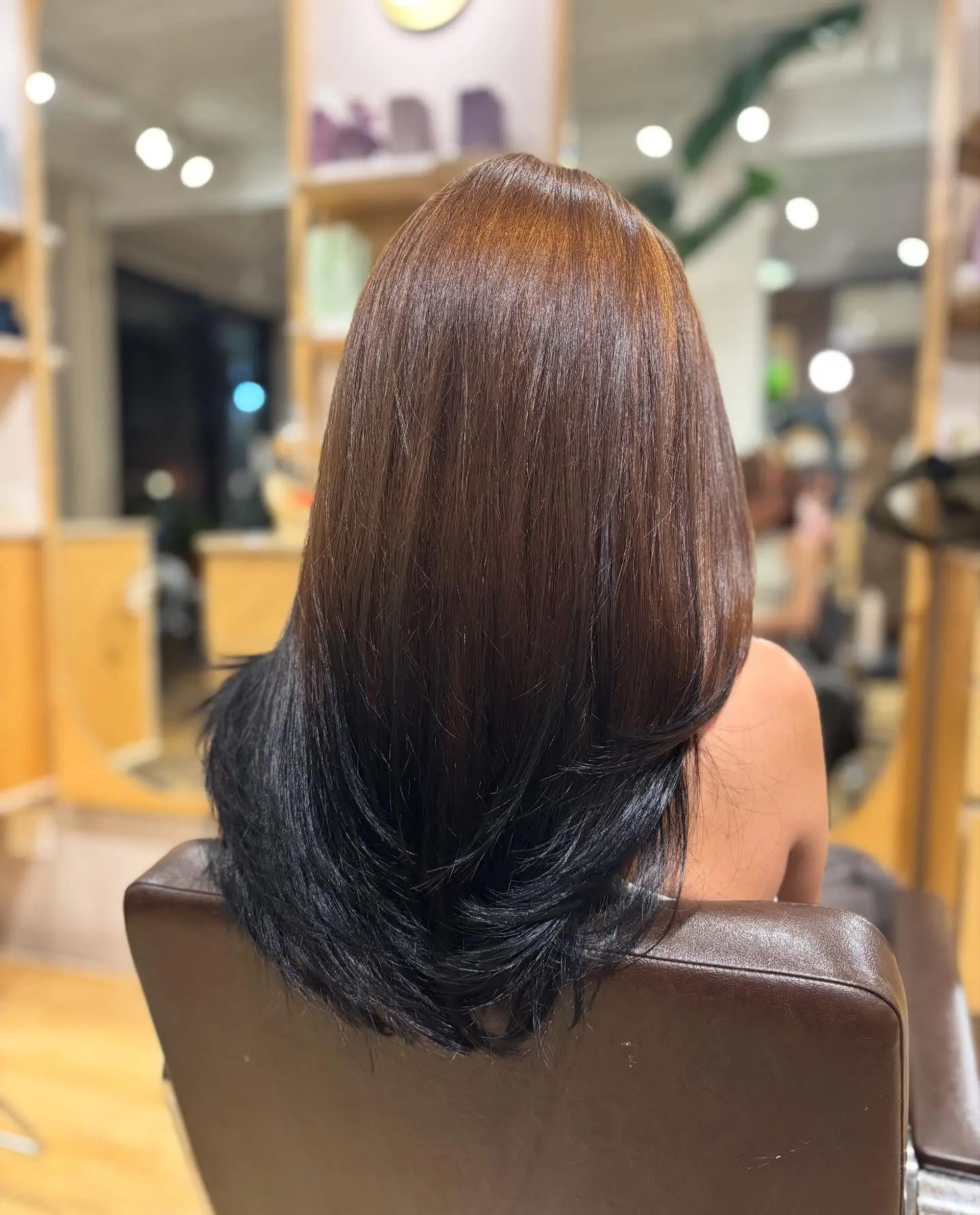 Long straight hair styled with subtle curved layers and a distinct reverse ombré blending from warm auburn brown into jet black ends. 1