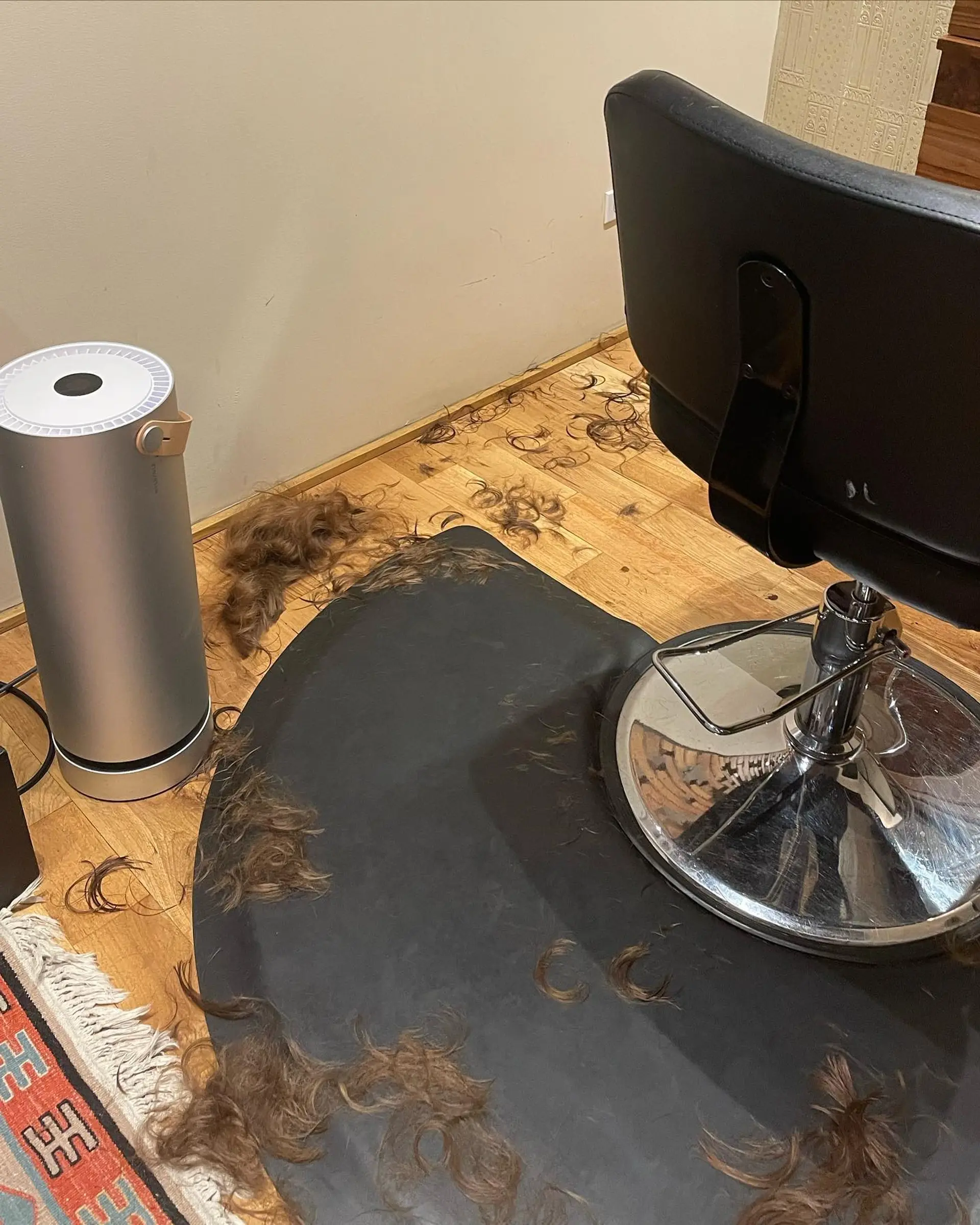 This hairstyle features a short, shaggy pixie cut with mullet-like layers at the back. 3