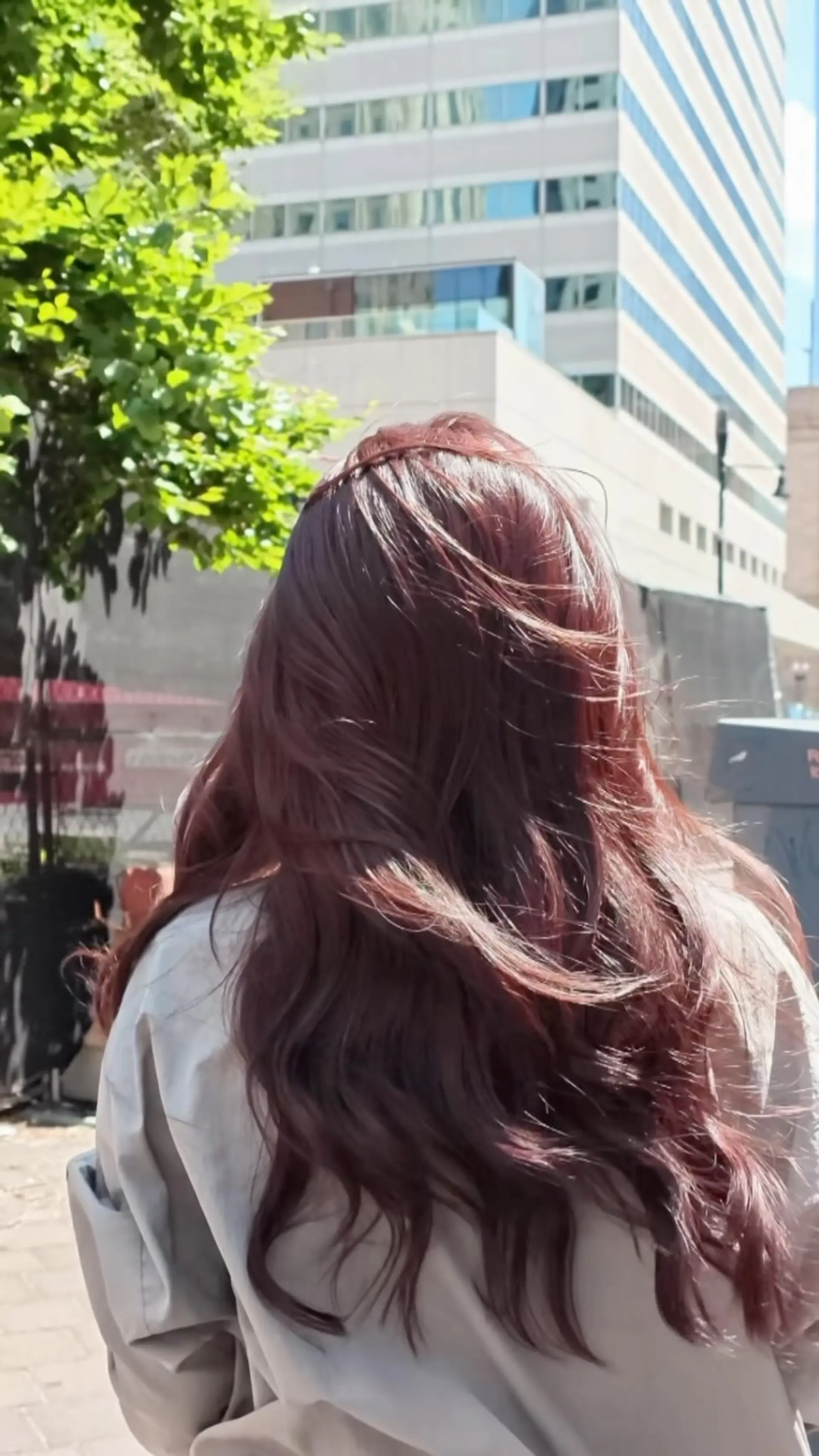 Long pink-brown hair styled in soft, windswept waves viewed from behind outdoors. 1