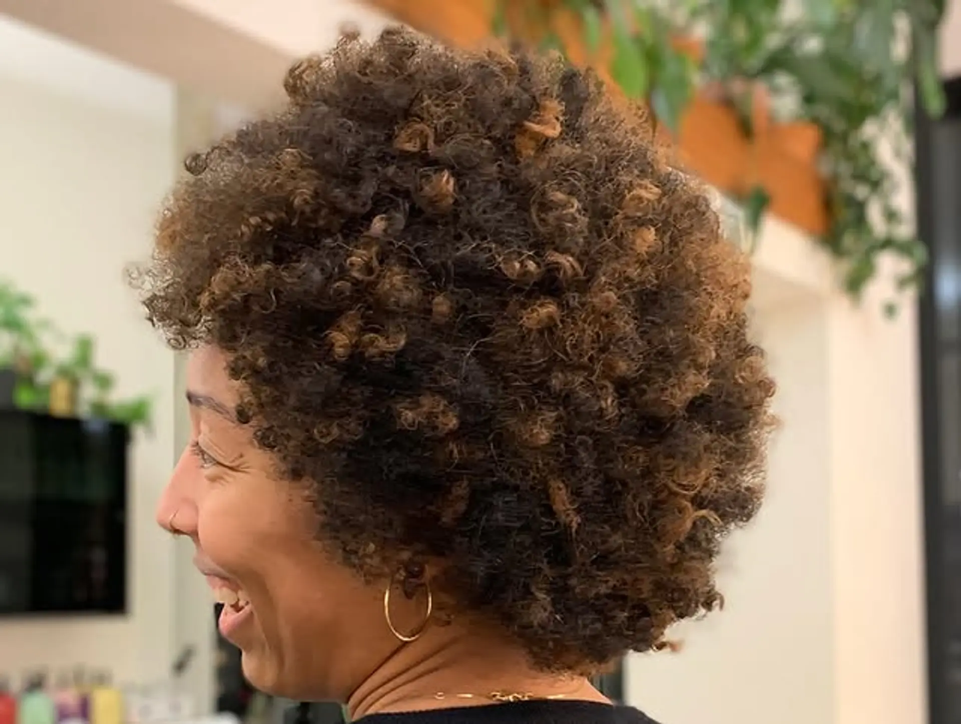 A voluminous, curly afro with defined coils and bright highlights. 1