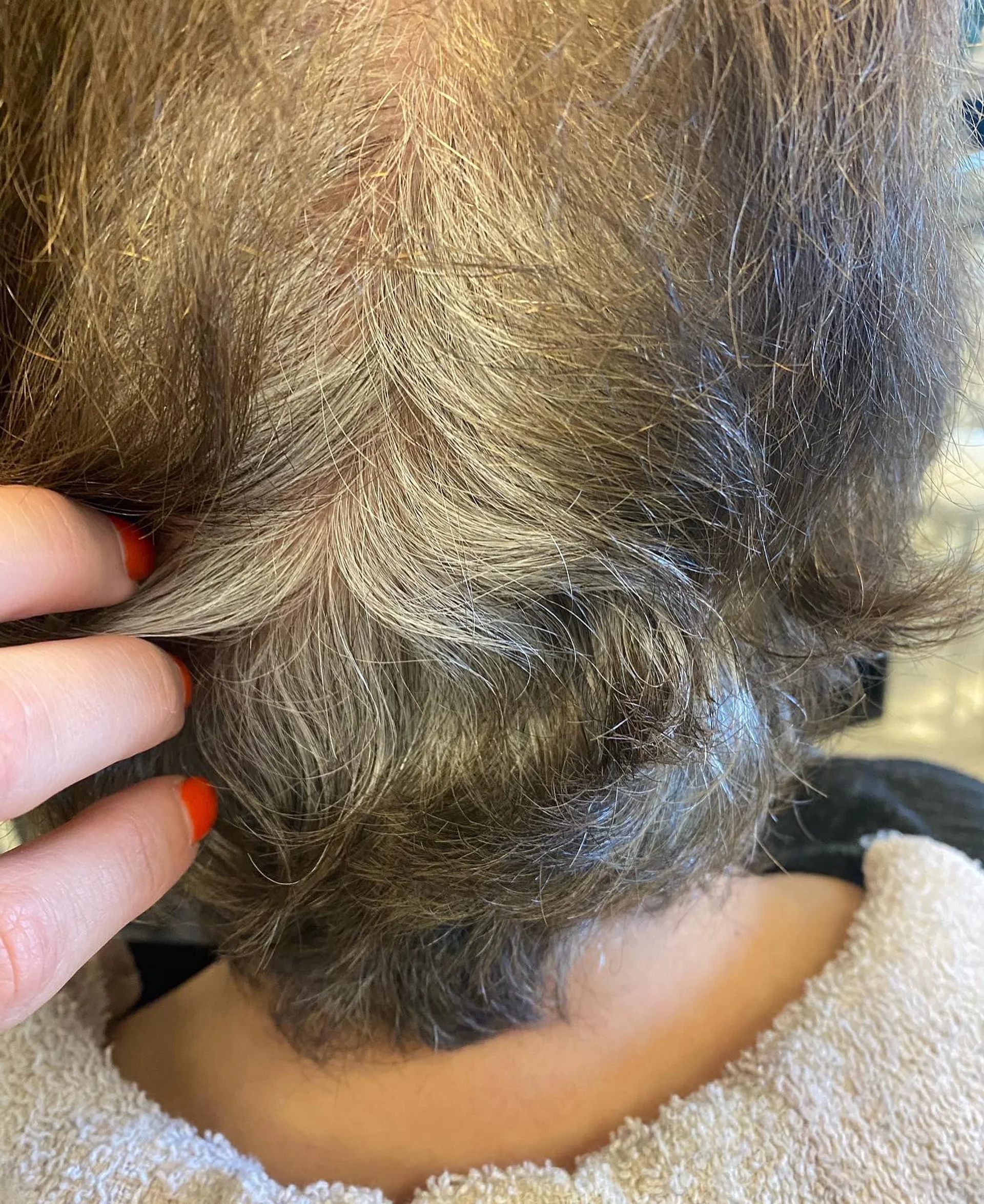 Sophisticated chin-length silver fox bob for women over 60 - Preview 2