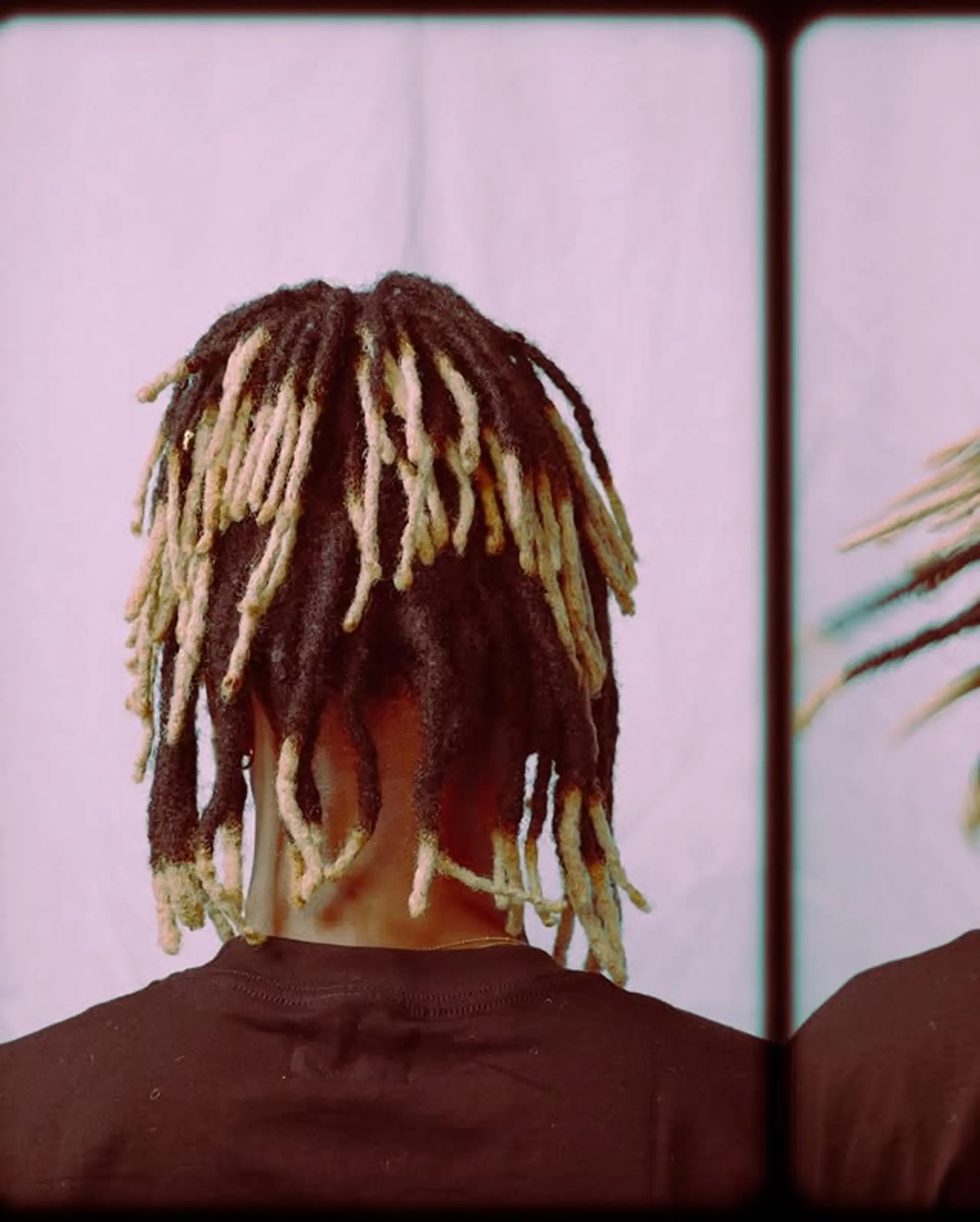 Medium-length dreadlocks with a two-tone color effect, dark roots transitioning to blonde ends. 1