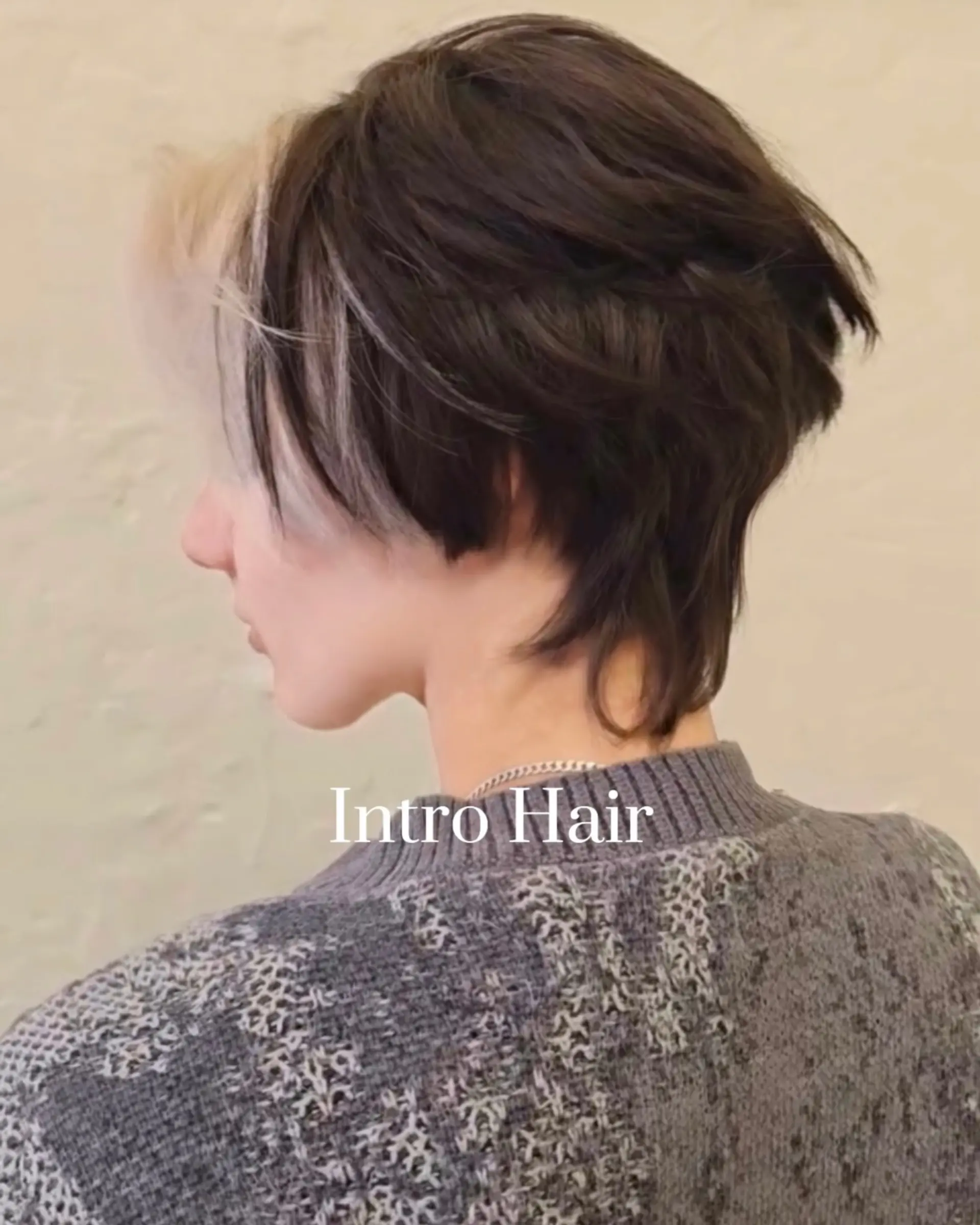 A textured short mullet and shaggy pixie cut featuring dark brown hair with a contrasting platinum blonde face-framing fringe. 1