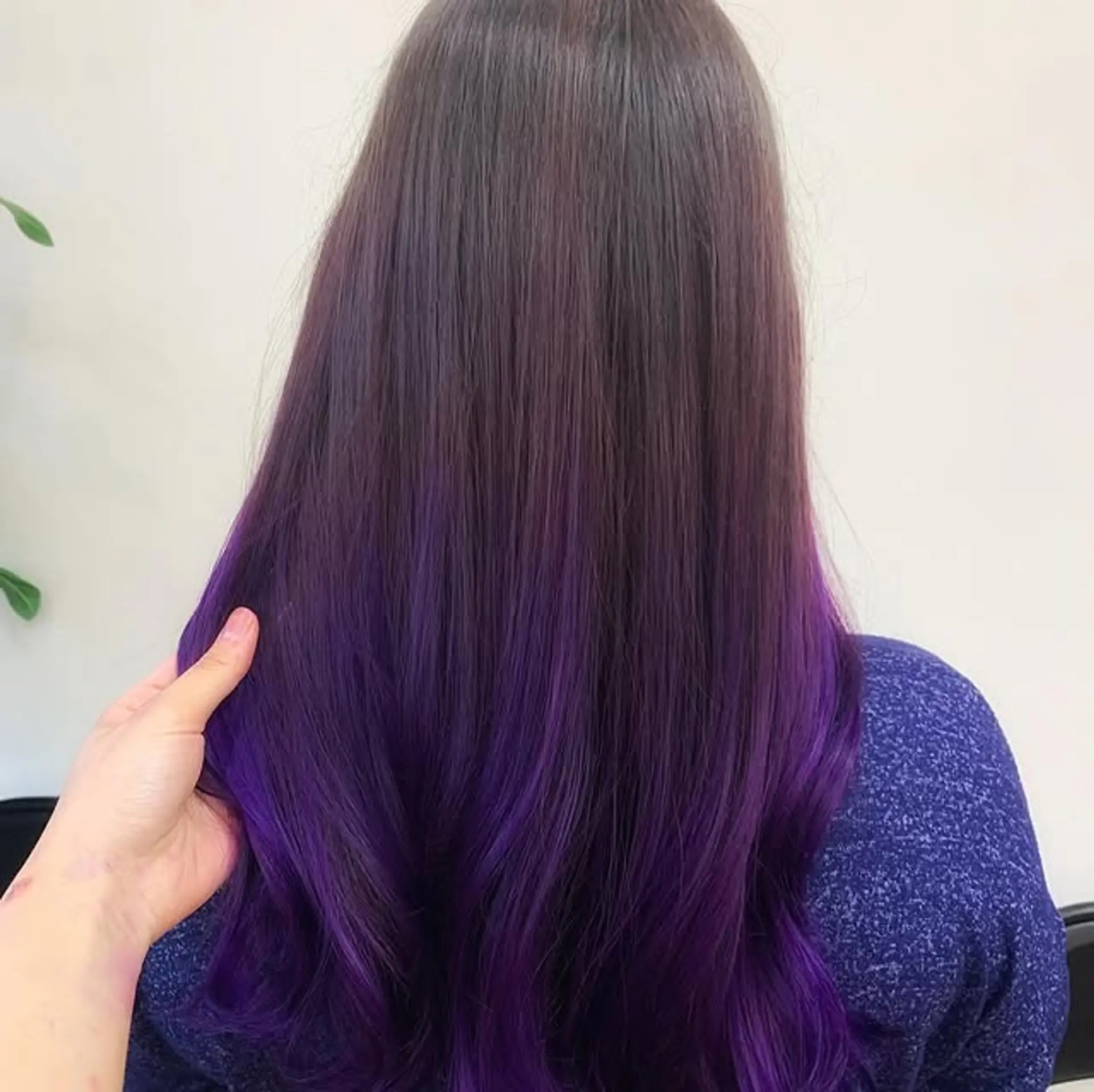 Long wavy hairstyle with a brown to purple ombre. 1