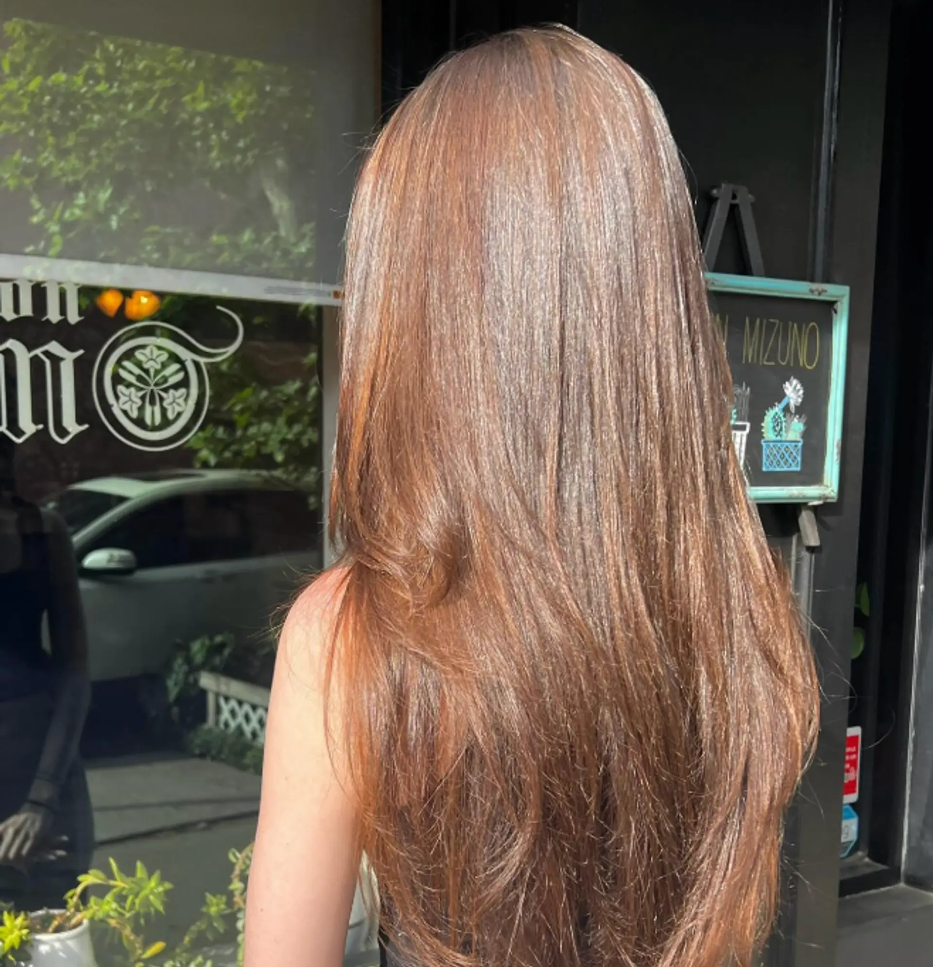 Long straight brunette hair with subtle layers. 1