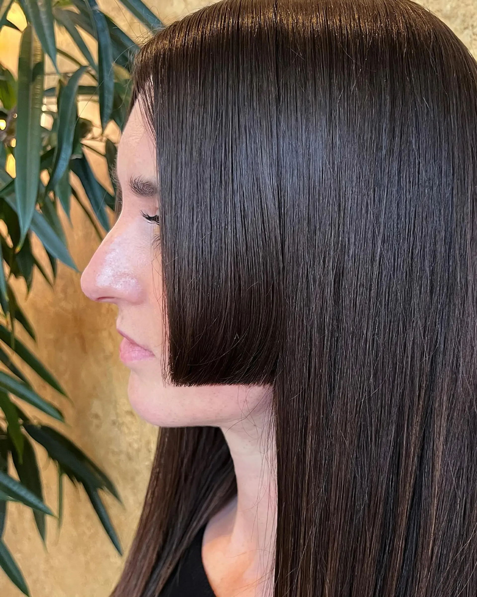 A sharp, sleek dark brown Hime cut with blunt cheek-length side pieces and long straight hair. 1