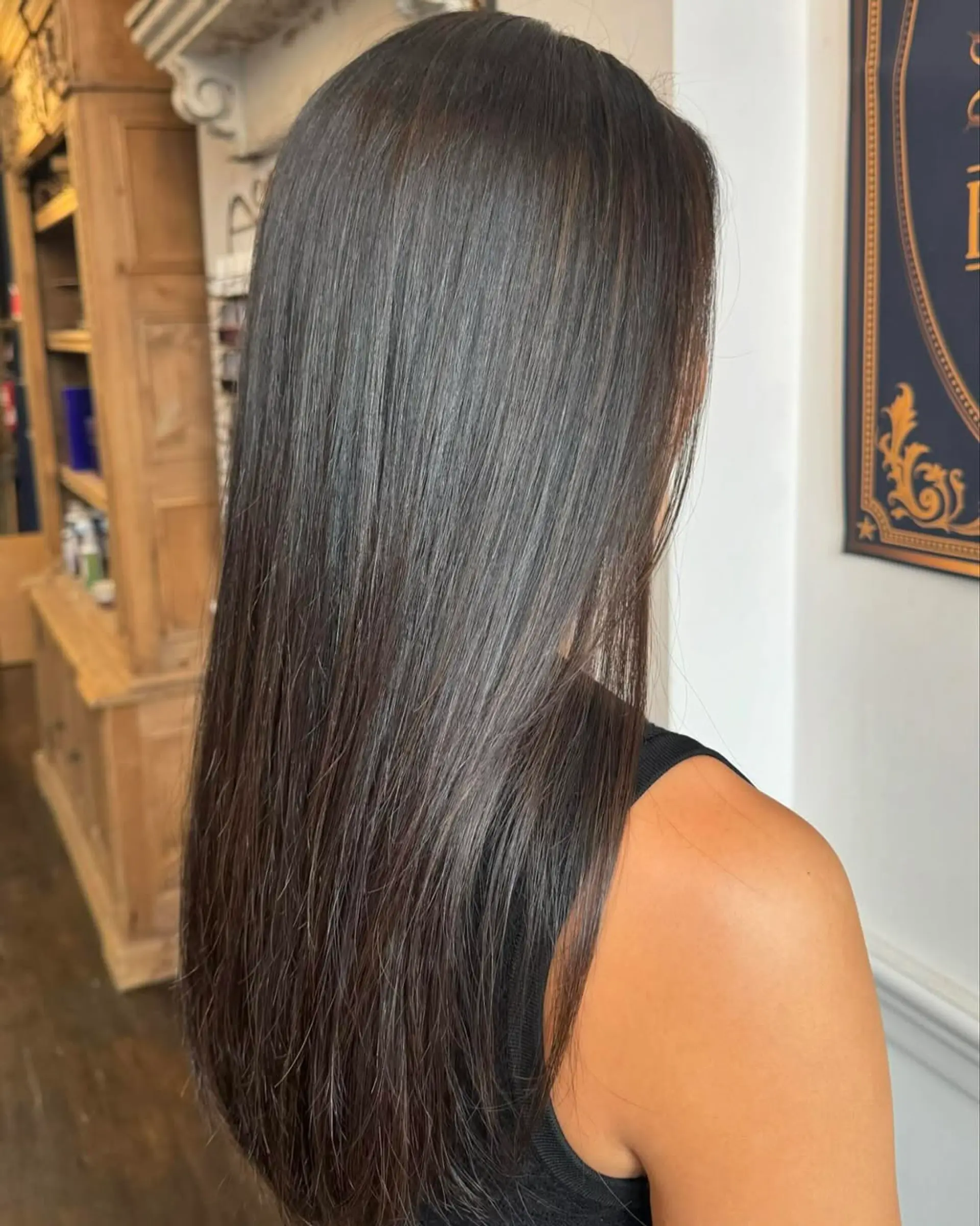 Long, straight, sleek black hair with a glossy finish and minimal layers. 3