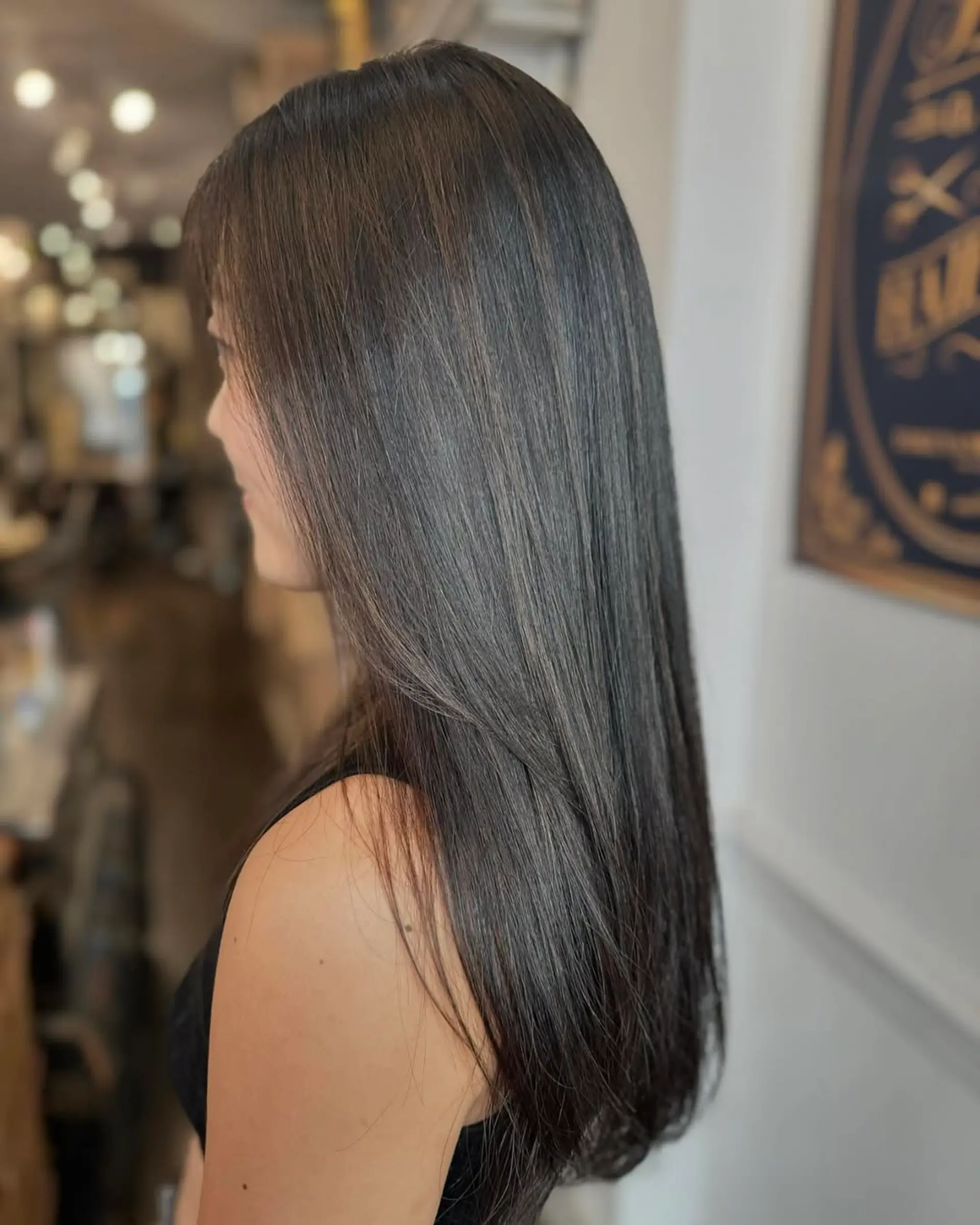 Long, straight, sleek black hair with a glossy finish and minimal layers. 4