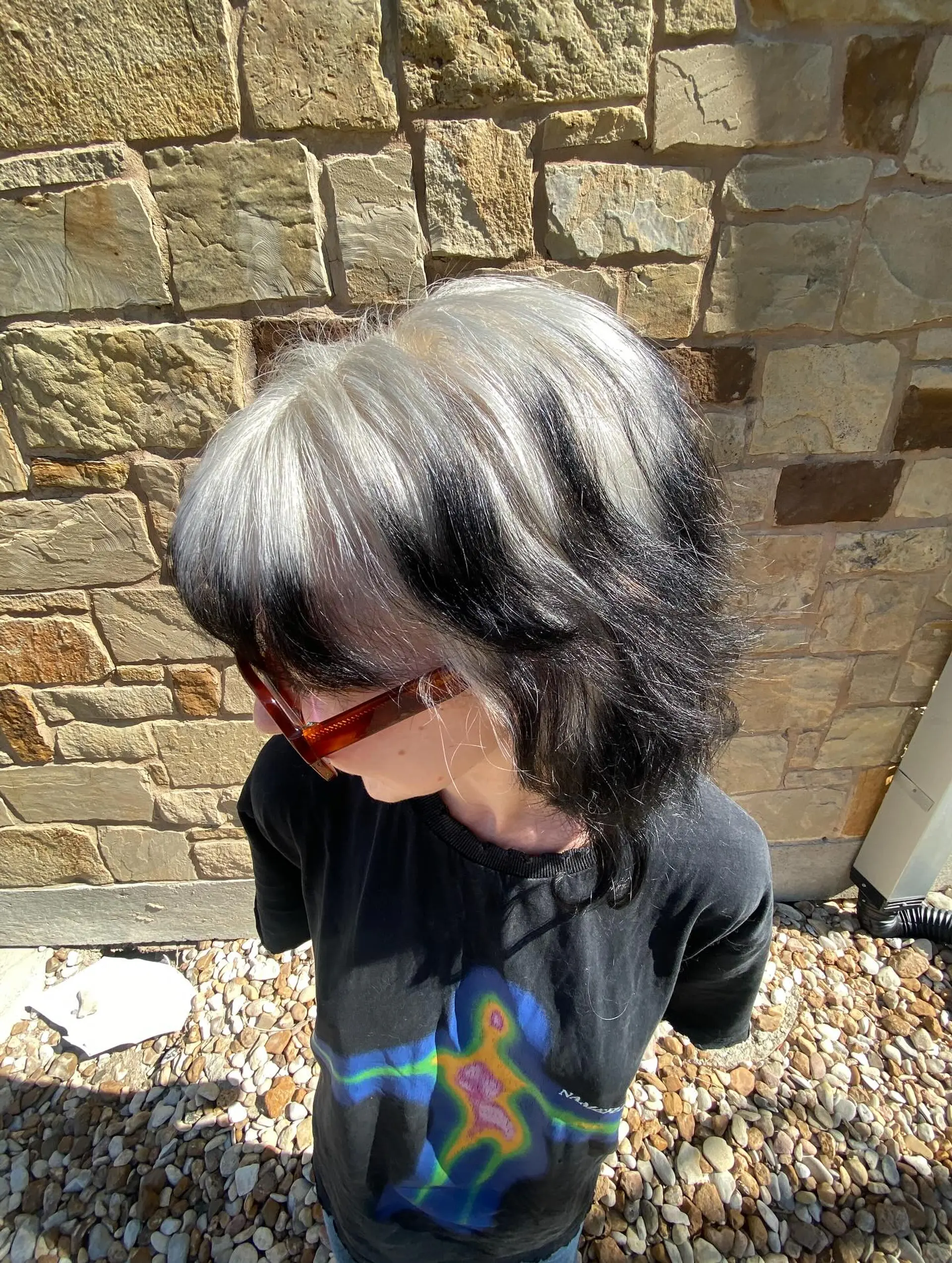 A textured shoulder-length shag featuring bright platinum silver ghost roots contrasting with inky black layered ends and full bangs. 1