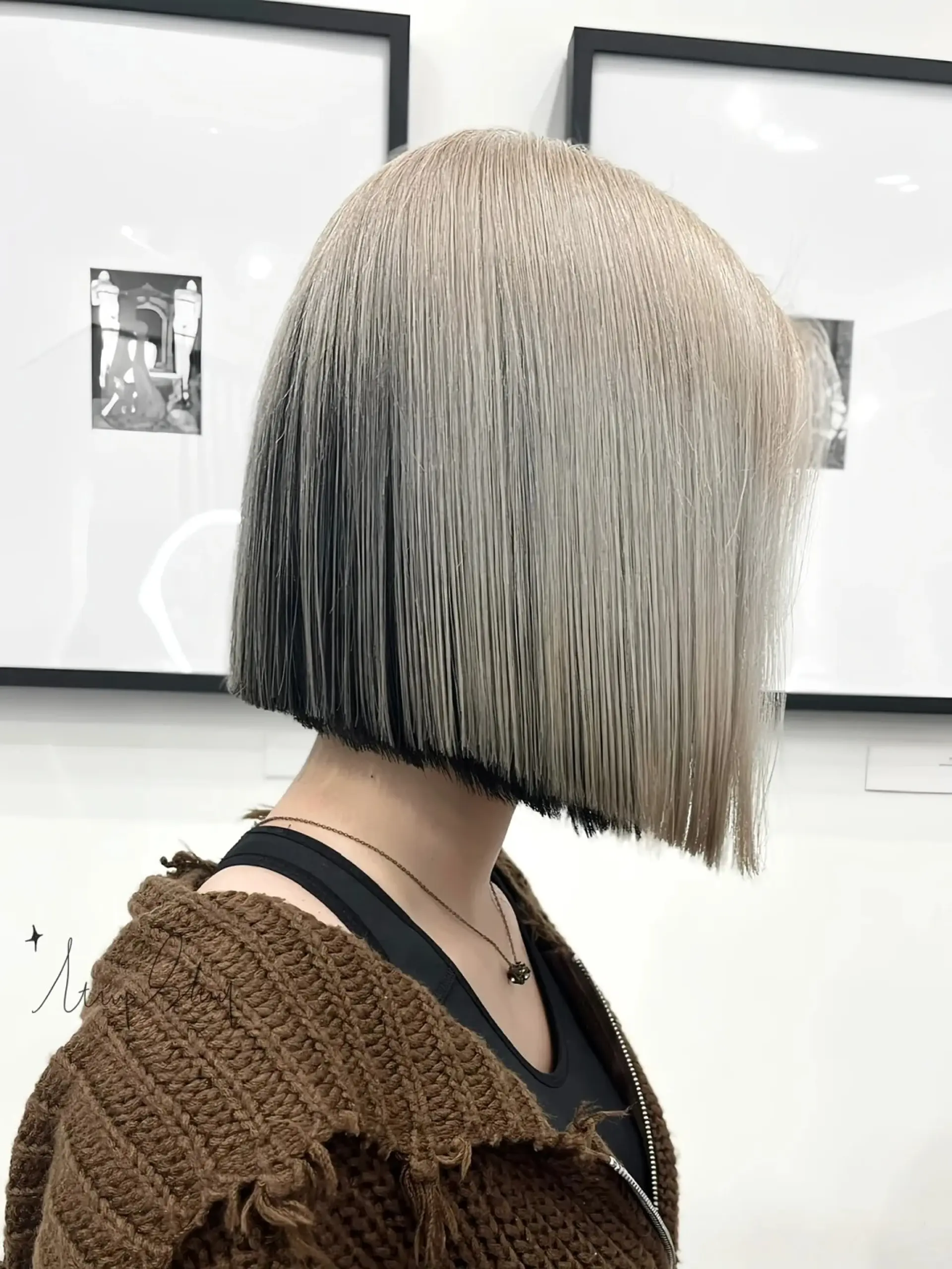A sleek, modern bob with a striking contrast between platinum blonde and black. The hairstyle is very straight, smooth, and falls to the chin, providing a chic and edgy vibe.

(NonstopStyle: by Niel) 2