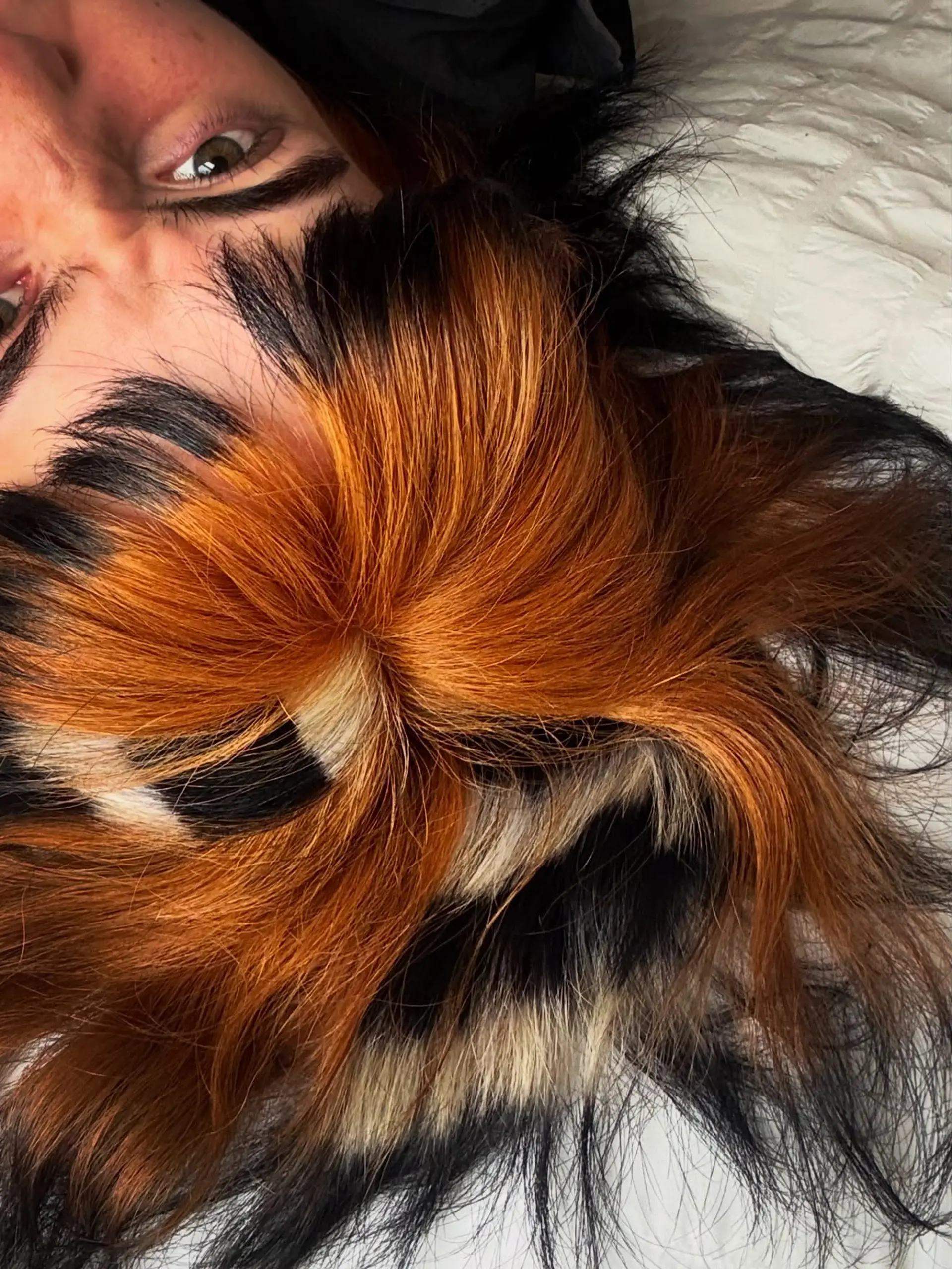 Scene-inspired hairstyle featuring high-contrast raccoon stripes in black and blonde banded across vibrant copper-orange hair. 1